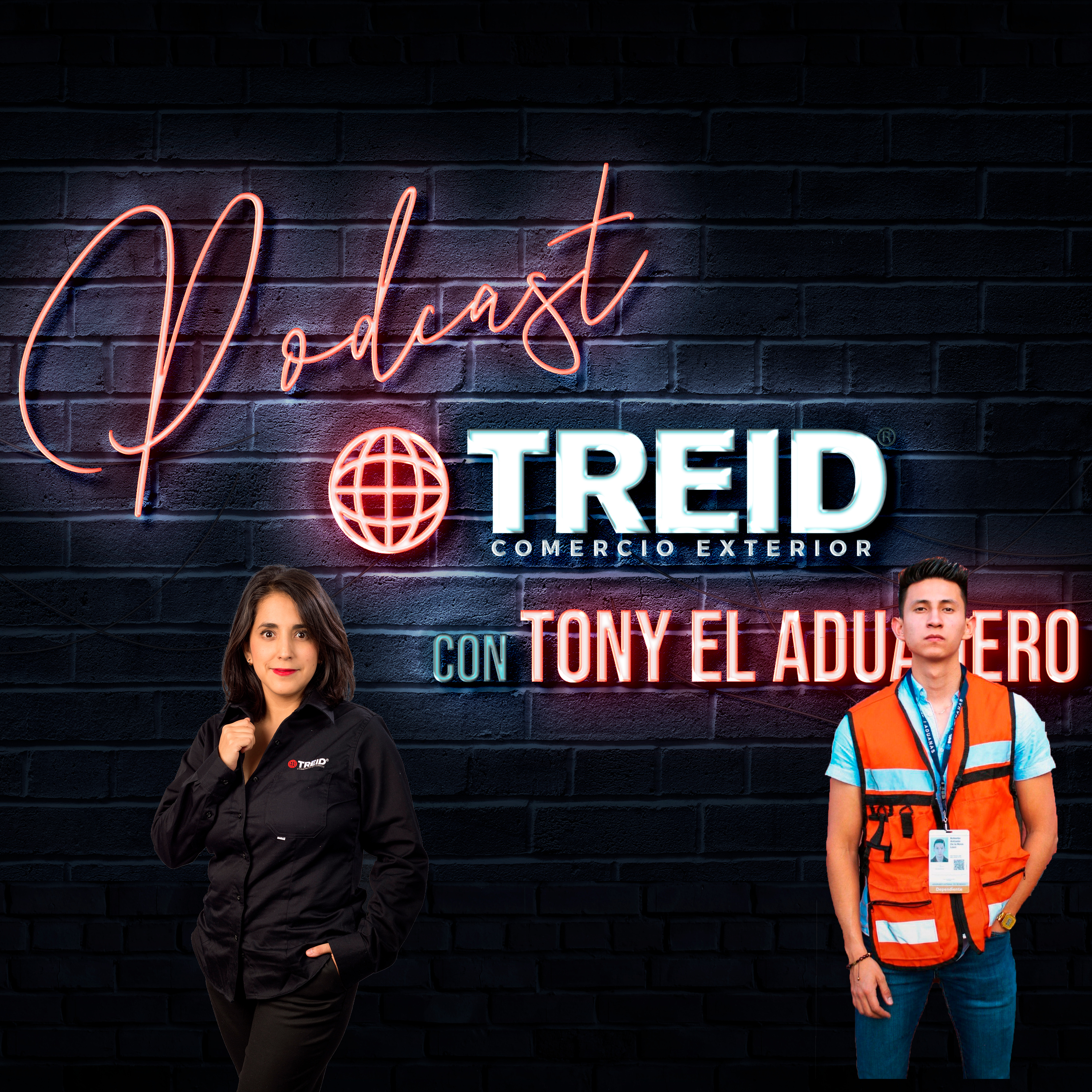 Treid Comercio Exterior