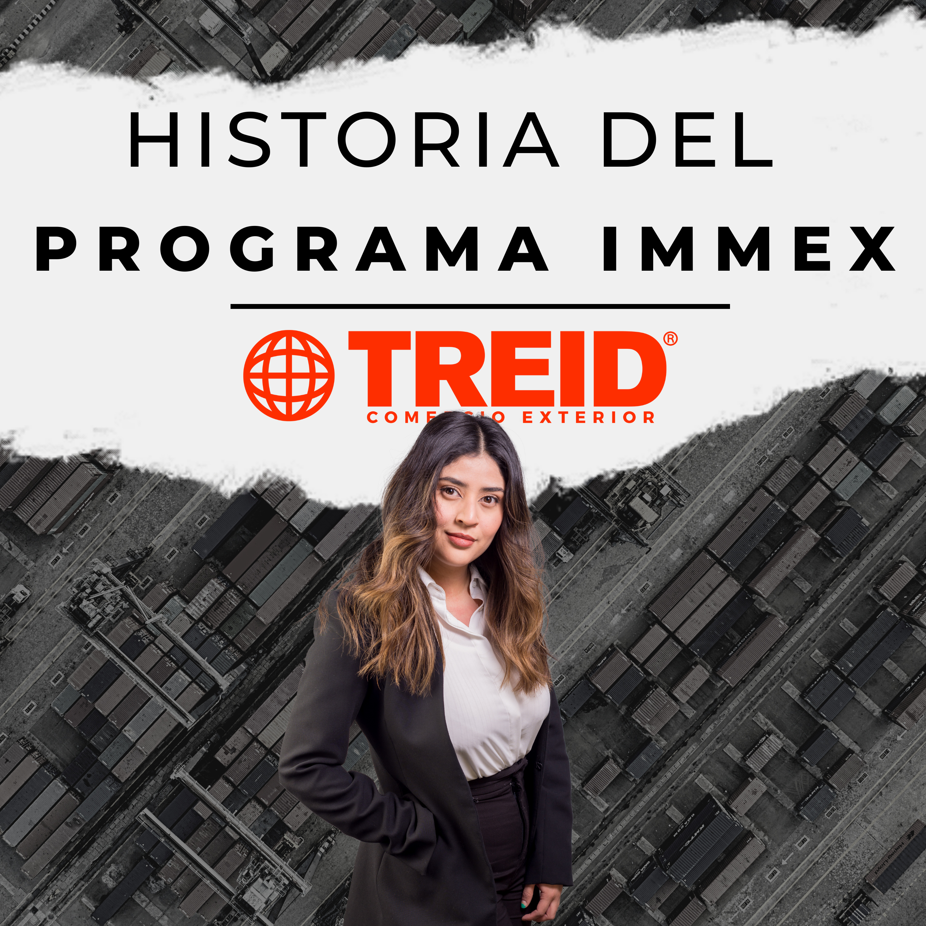 Treid Comercio Exterior