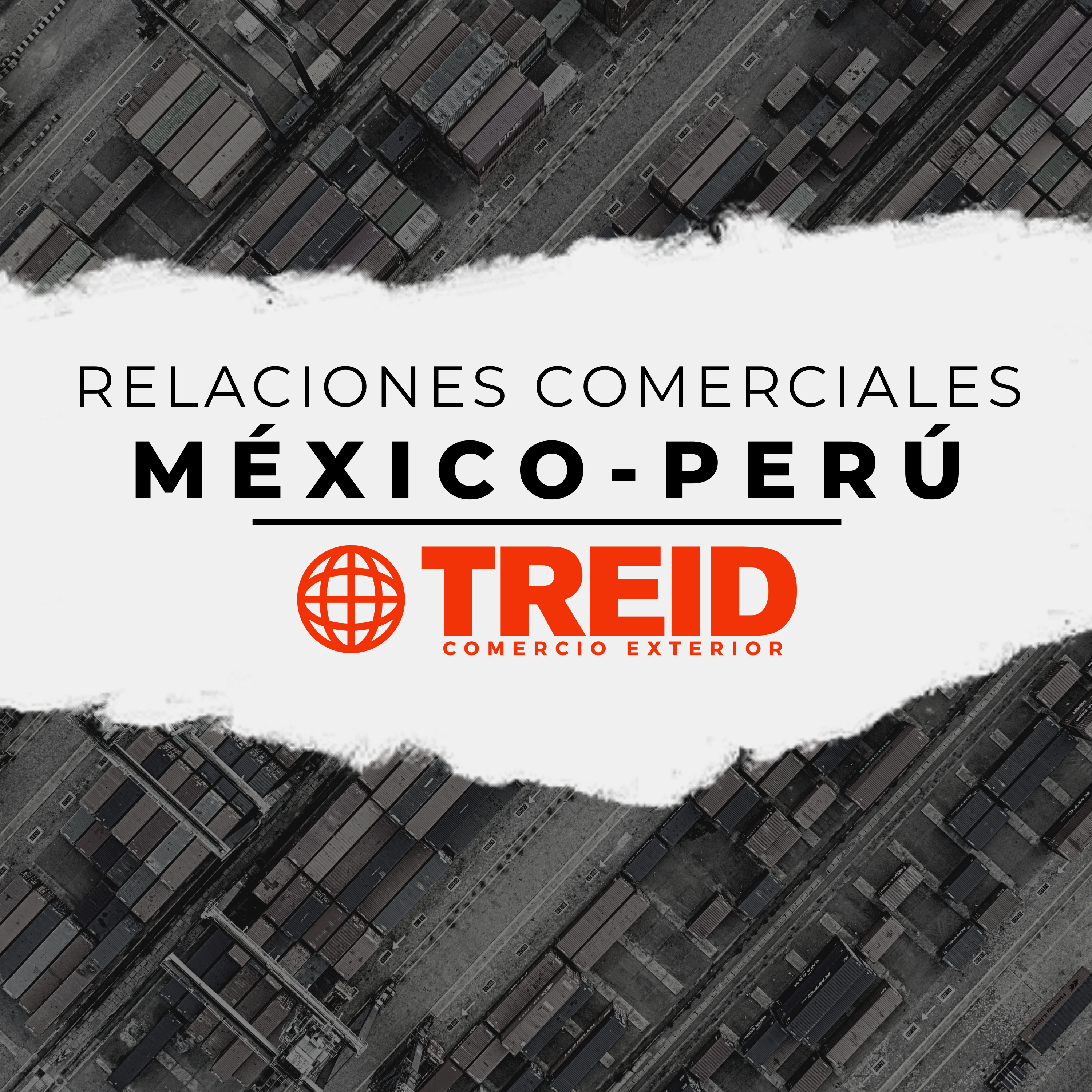 Treid Comercio Exterior