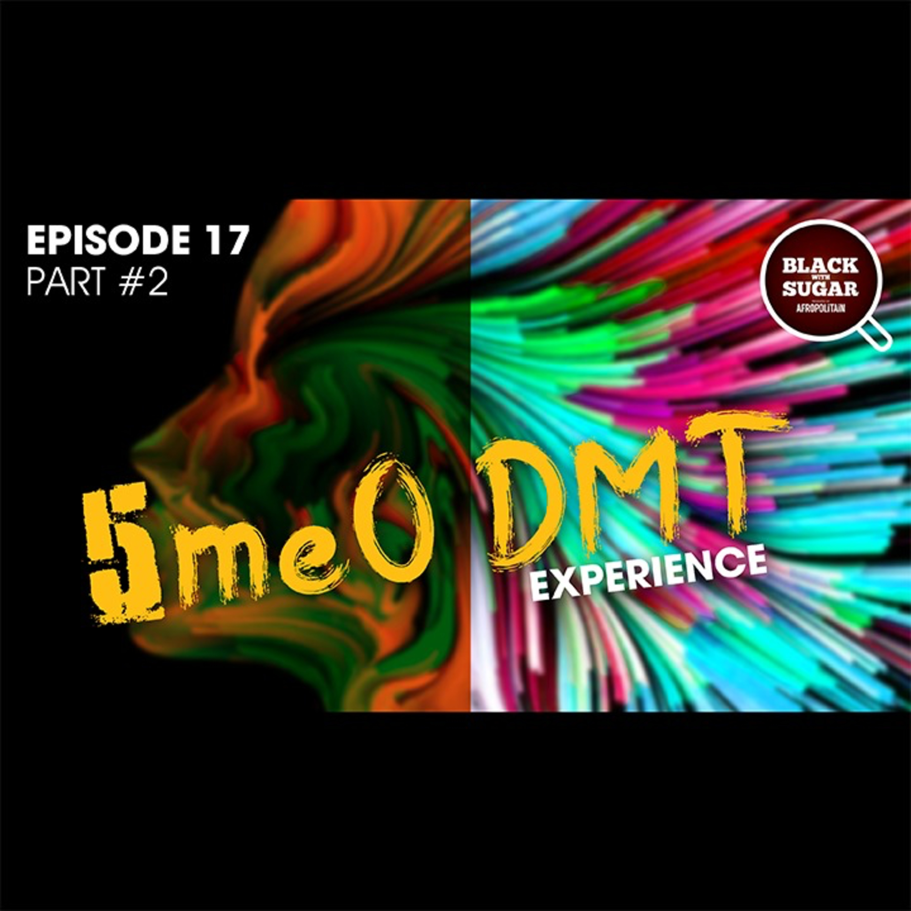Ayahuasca experience and life changing 5meO DMT (Part 2). EP 17 episode artwork