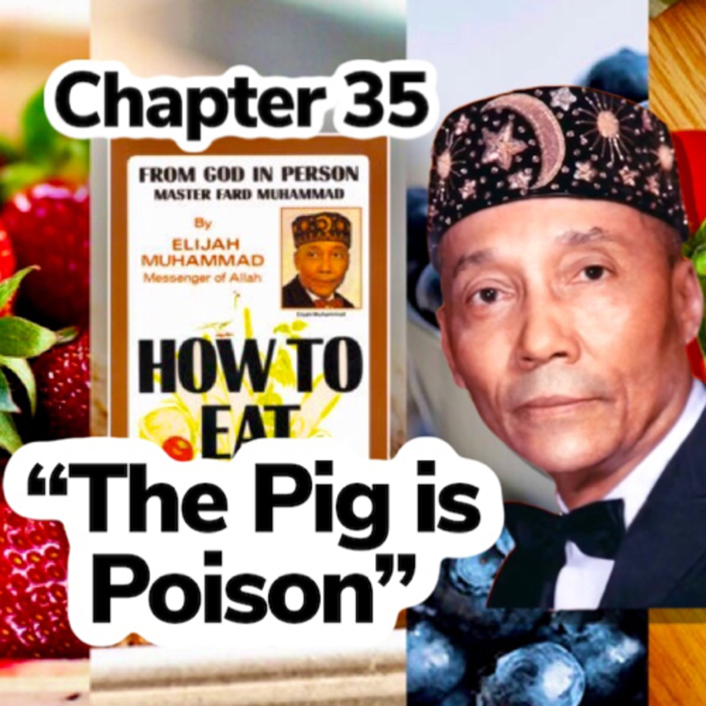 How to Eat to Live, Book 2 (1972) - by the Most Honorable Elijah Muhammad