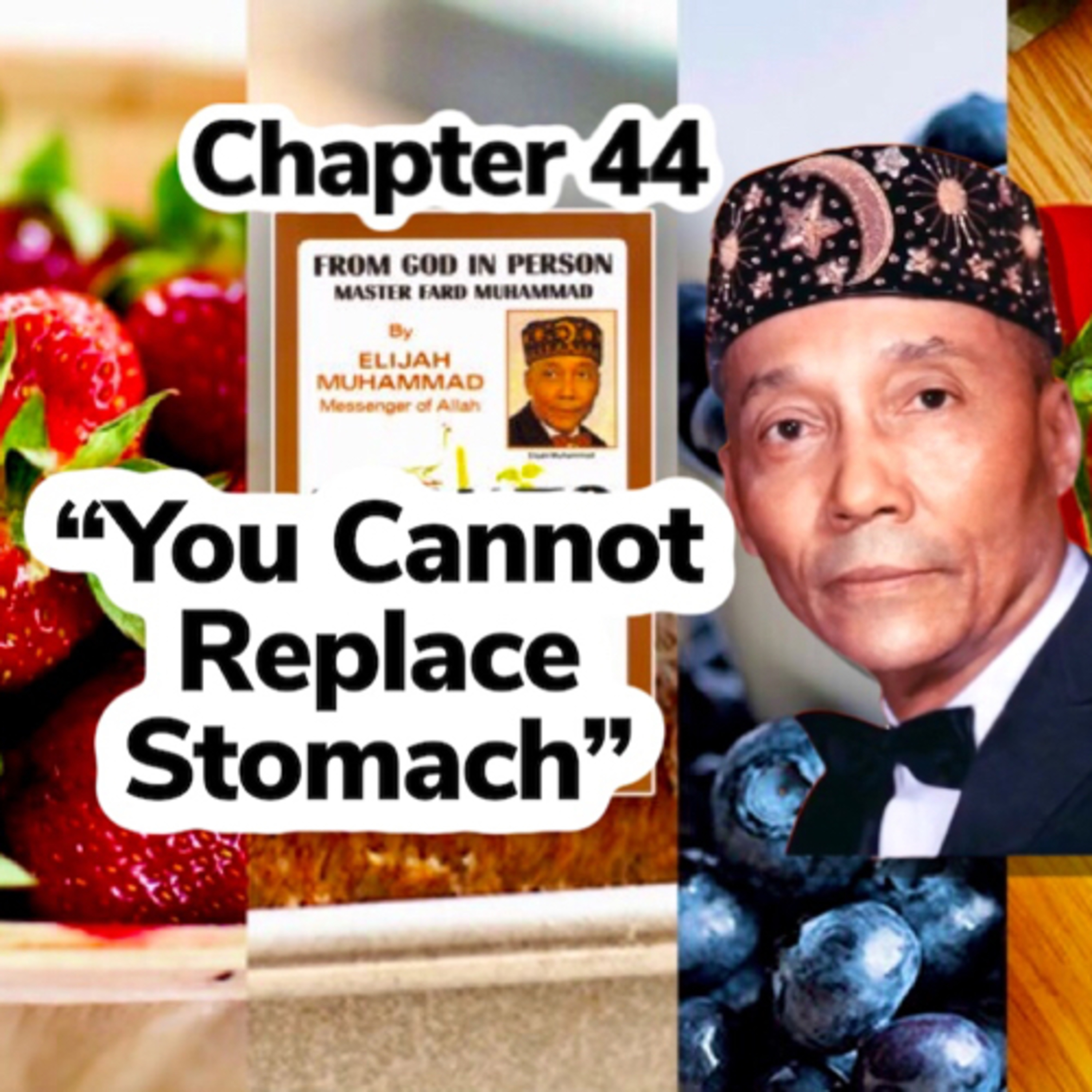 How to Eat to Live, Book 2 (1972) - by the Most Honorable Elijah Muhammad