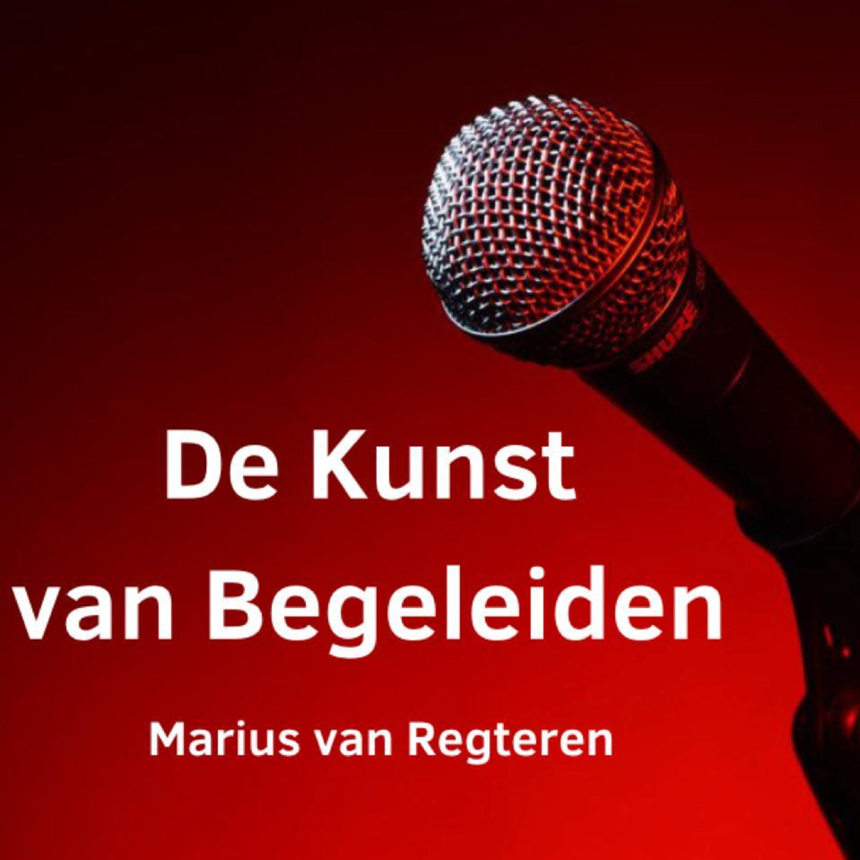 De Kunst van Begeleiden
