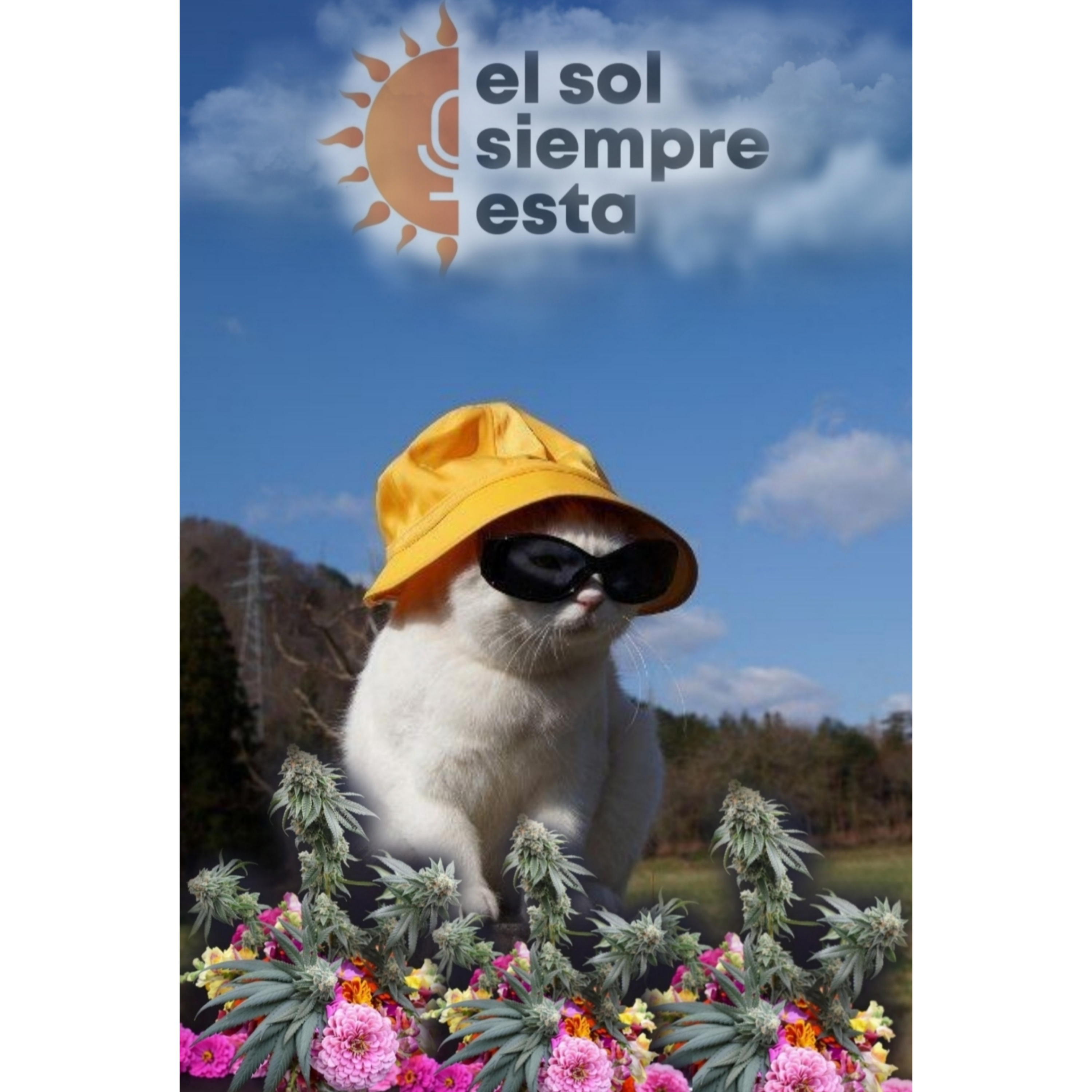 El sol siempre está