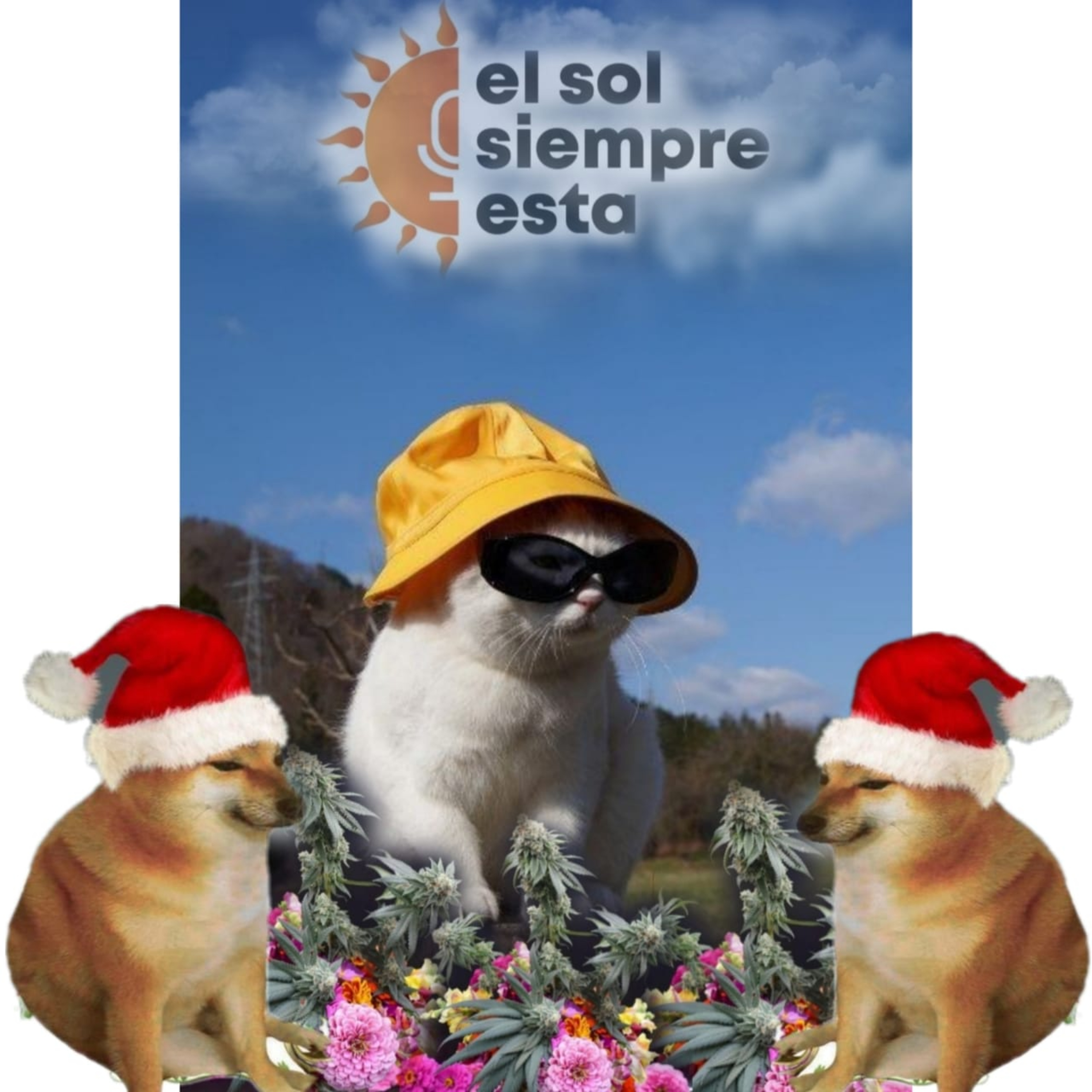 El sol siempre está