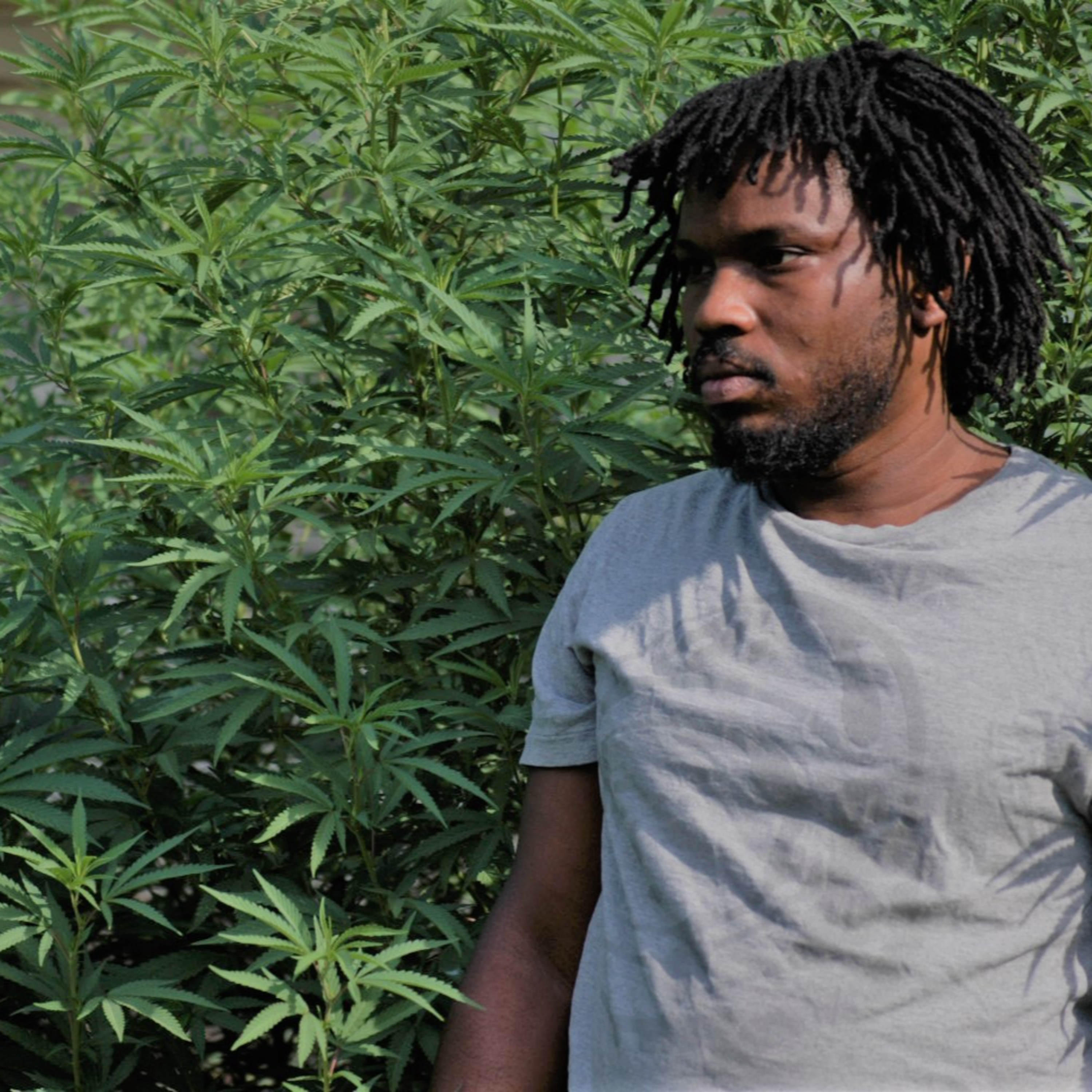 The Weedman Podcast ep. 1 The Weedman Podcast ep. 1