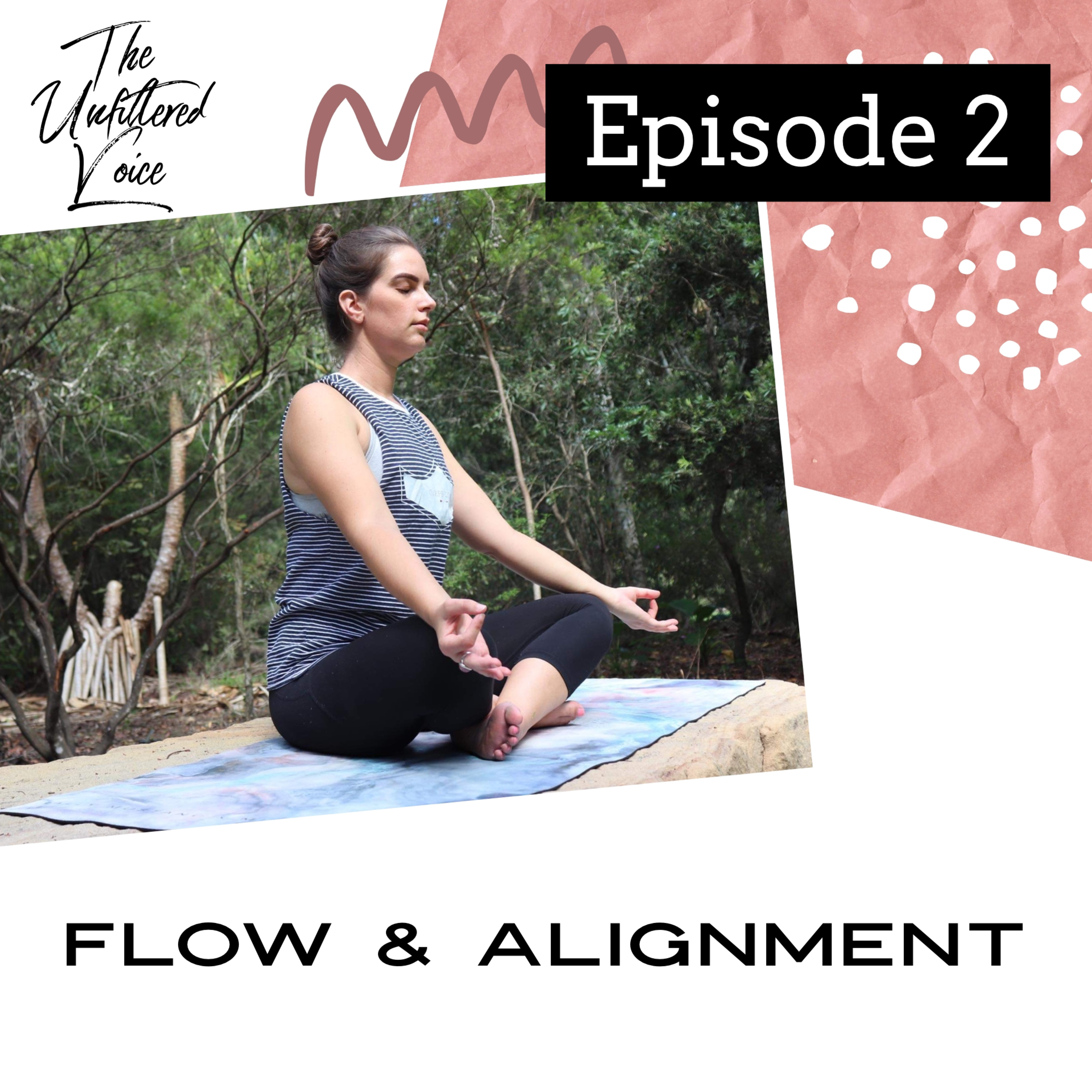 Episode 2 - Alignment and Flow episode artwork