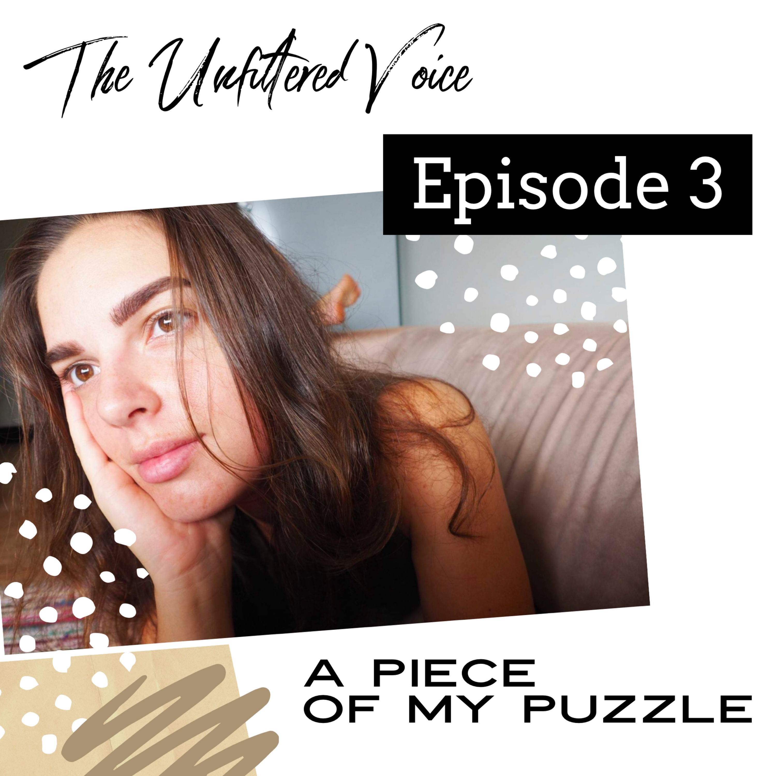 Episode 3 - A piece of my puzzle  episode artwork
