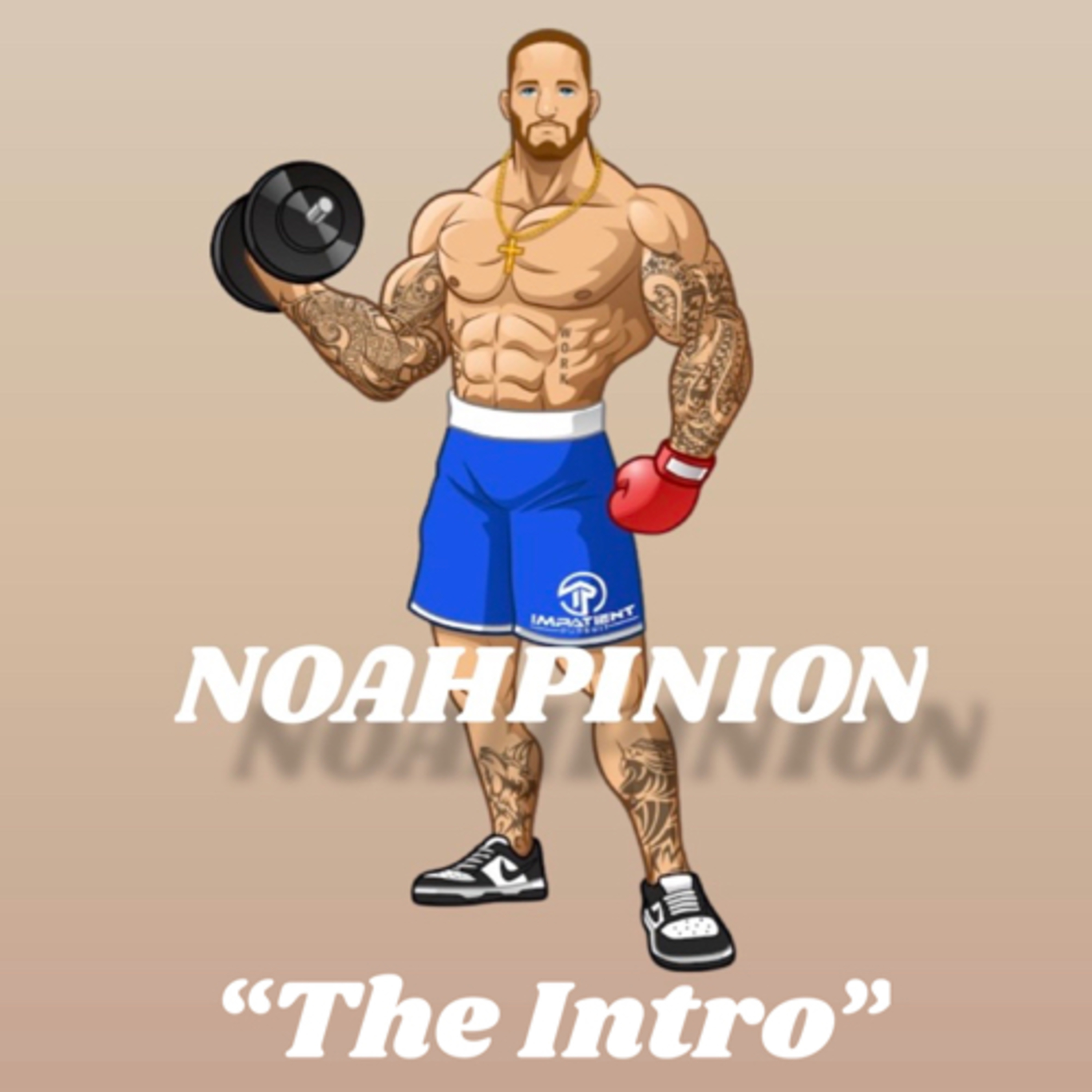 The Intro episode artwork