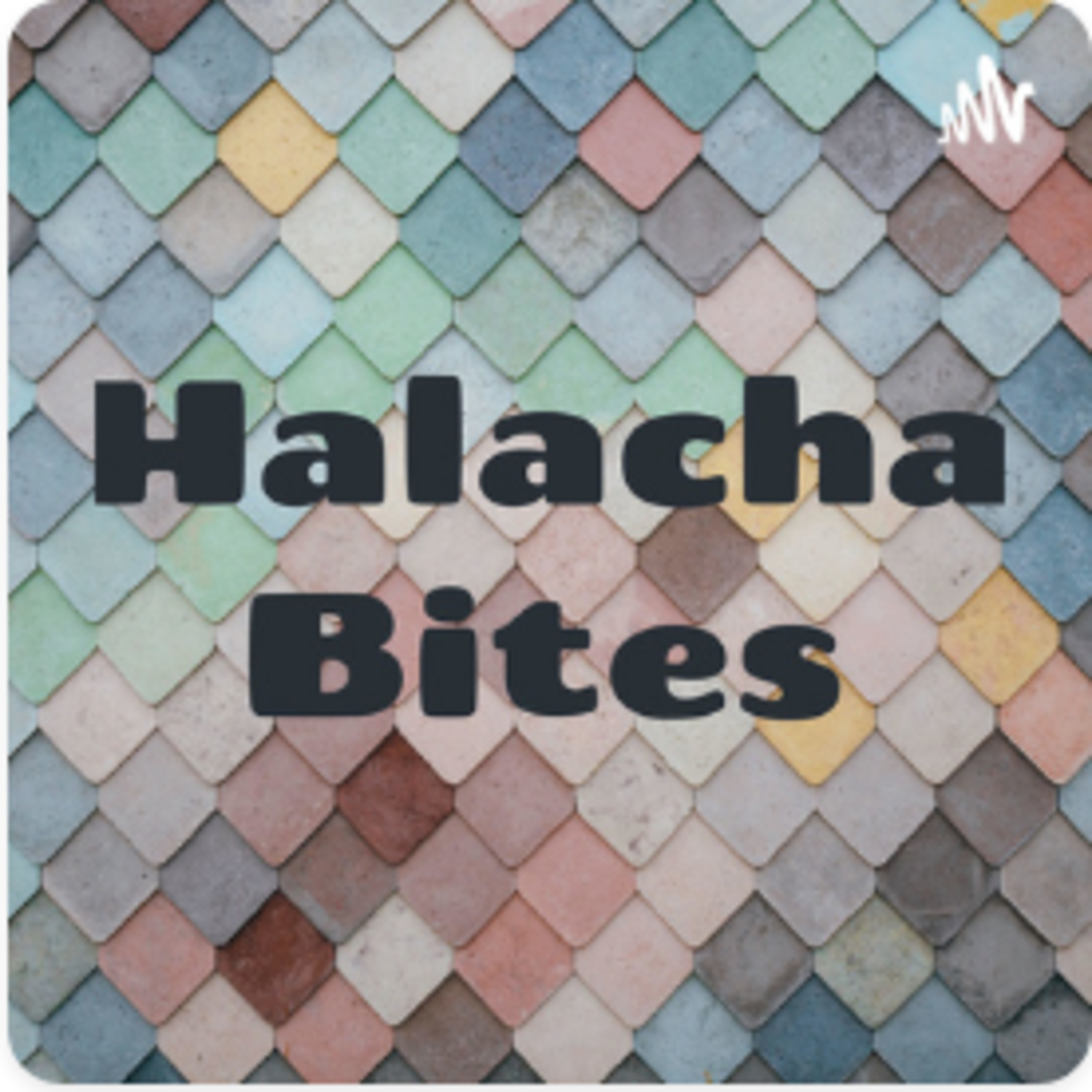 Halacha Bites