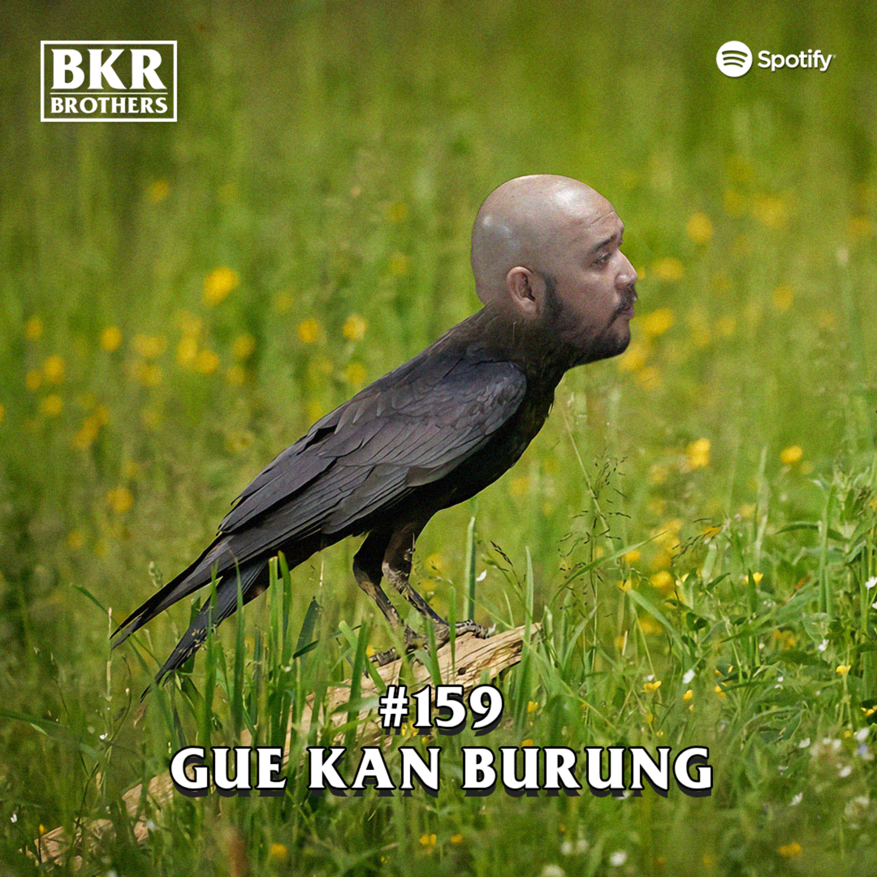 #159 Gue Kan Burung