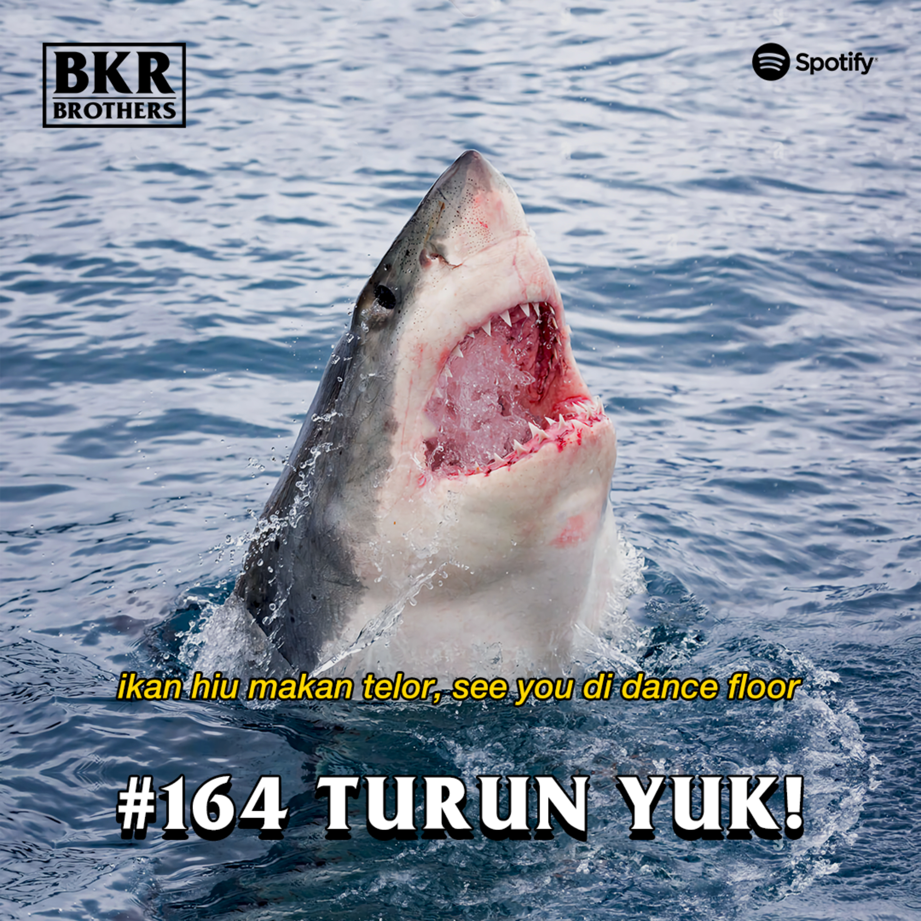 #164 Turun Yuk!