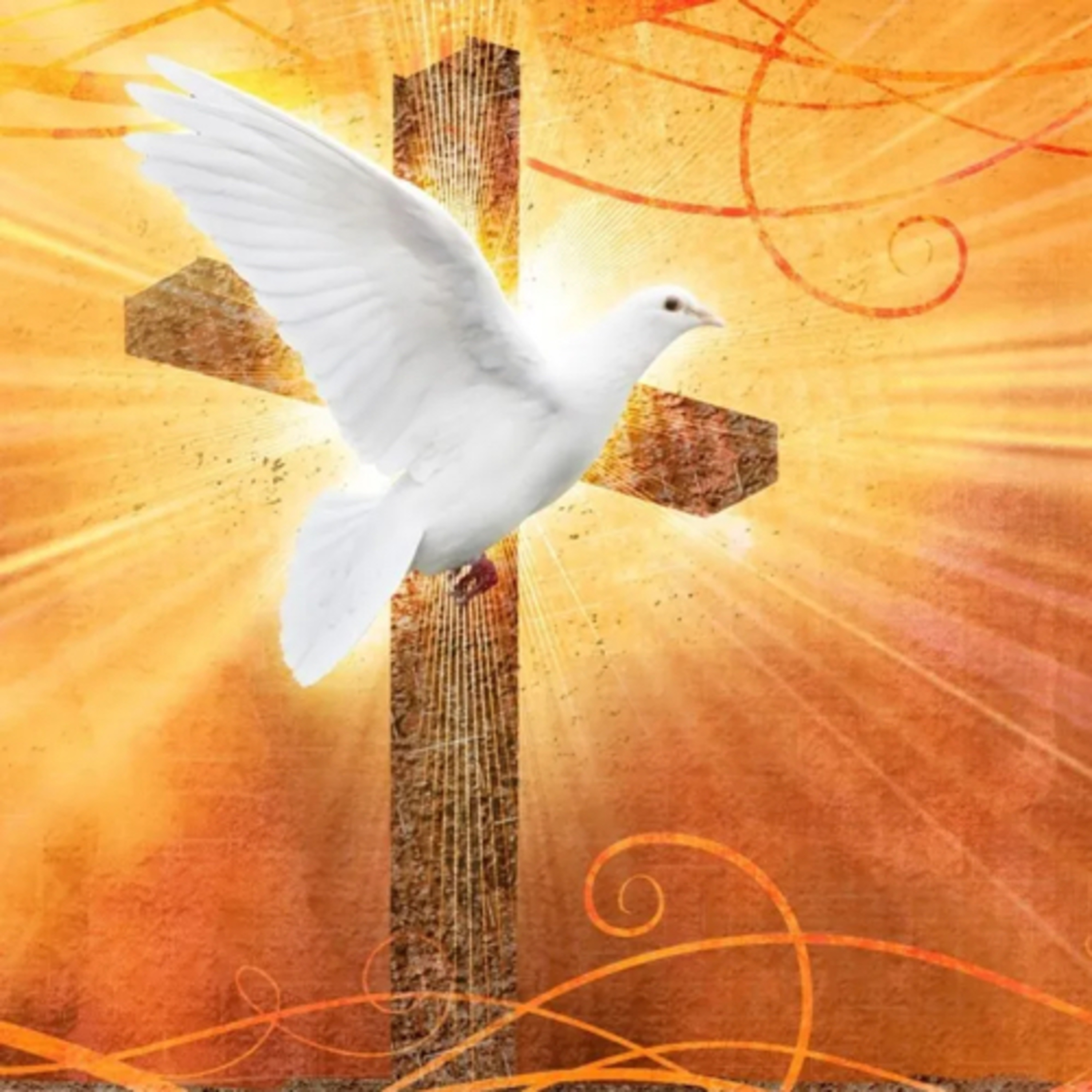 Miracles Speak