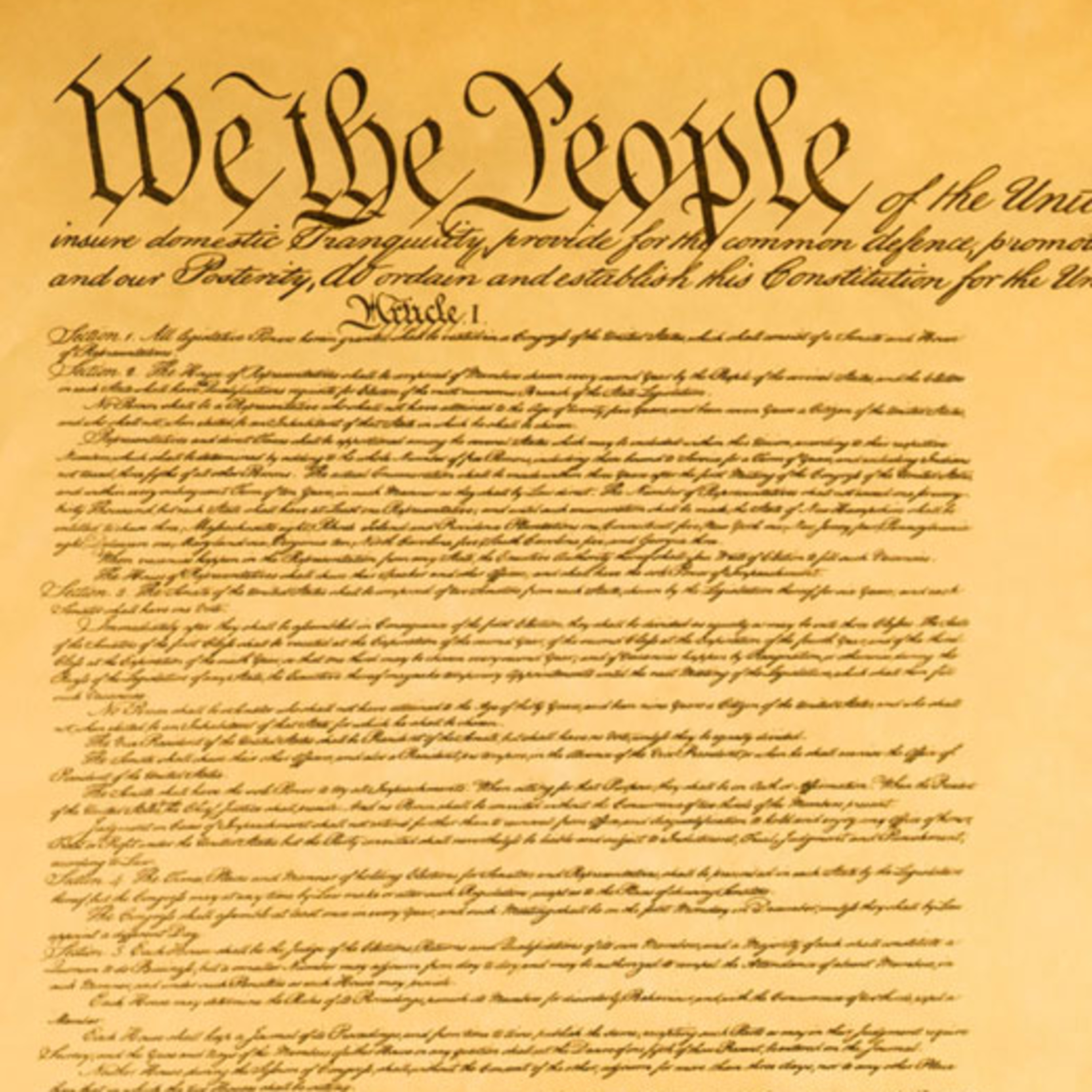 Why is there a Second Amendment