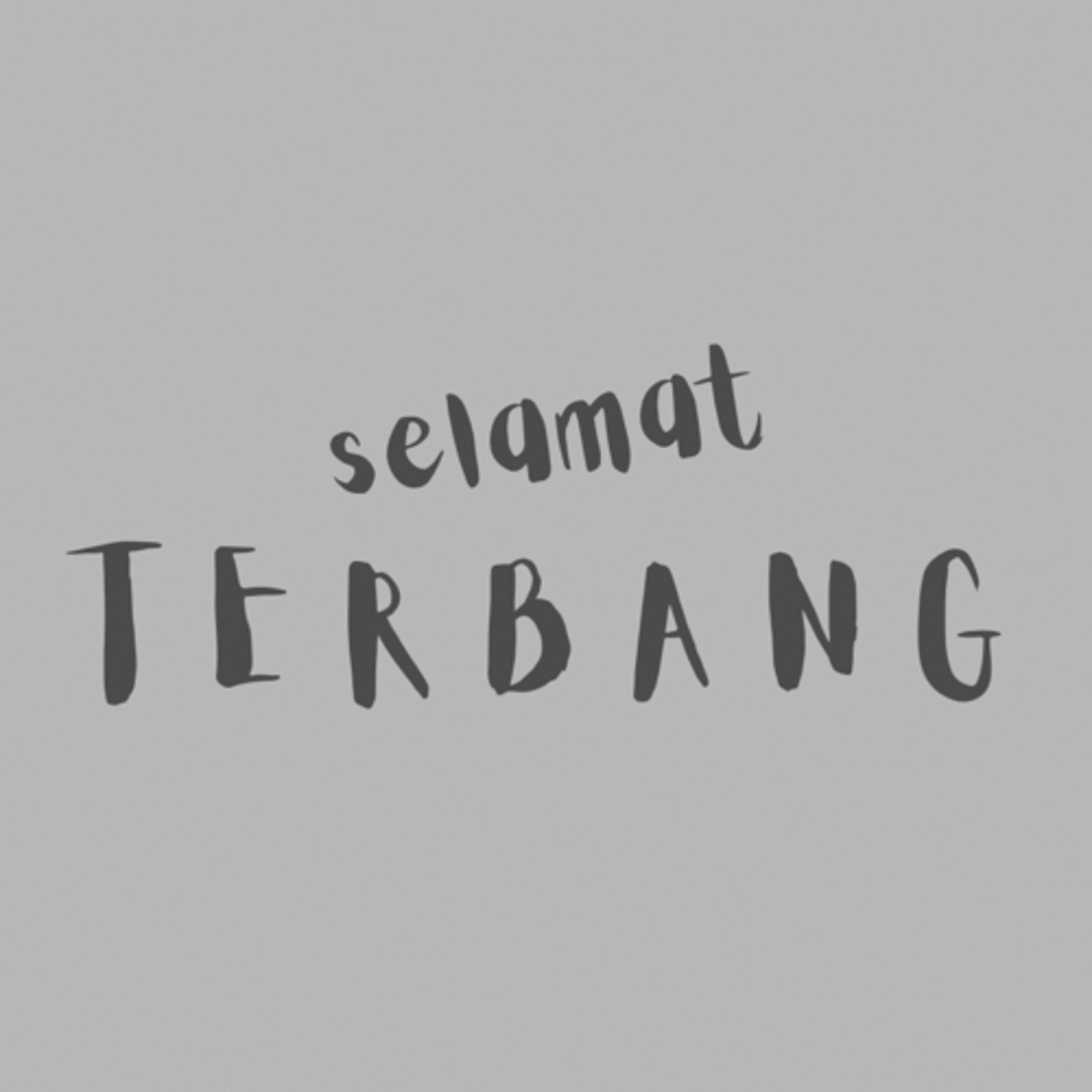 E8: Selamat Terbang. episode artwork