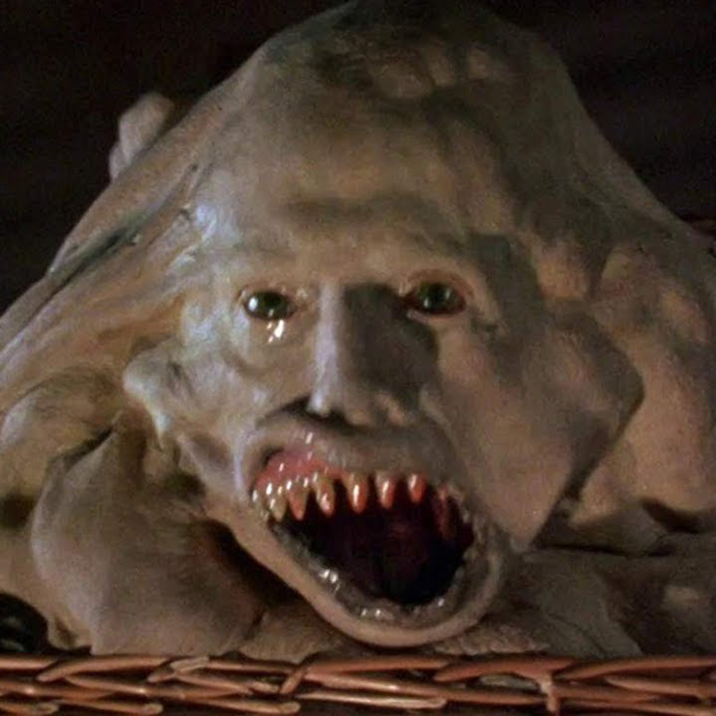 Basket Case (1982) episode artwork