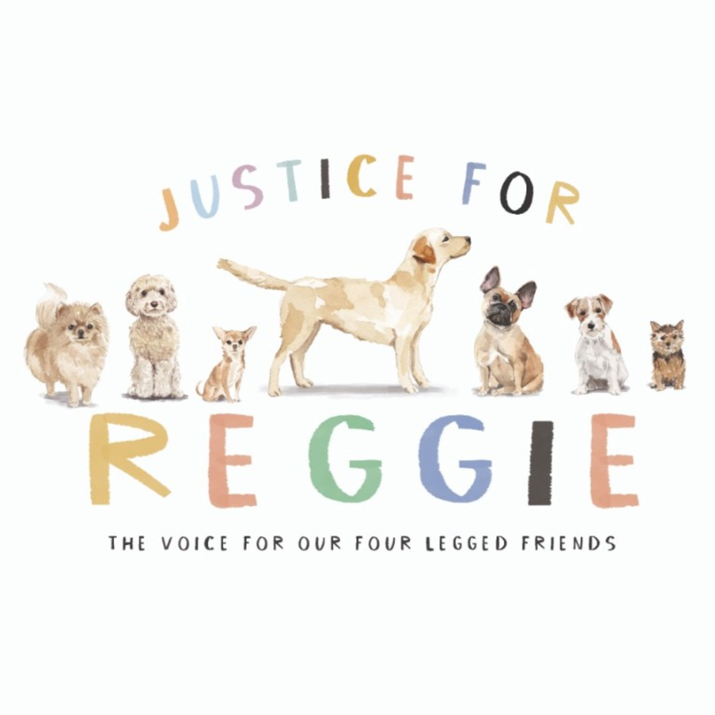 Justice For Reggie