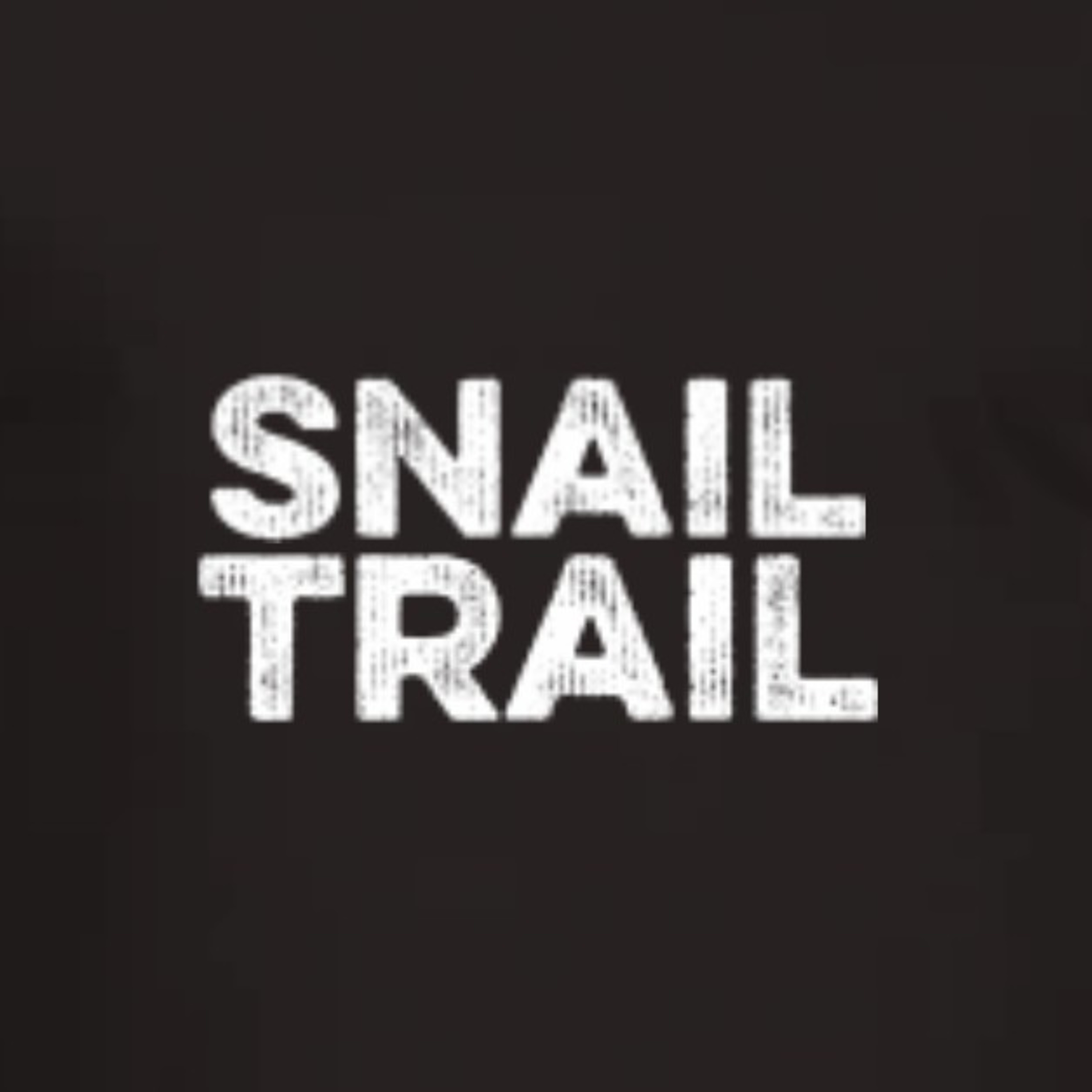 SNAIL TRAIL episode artwork
