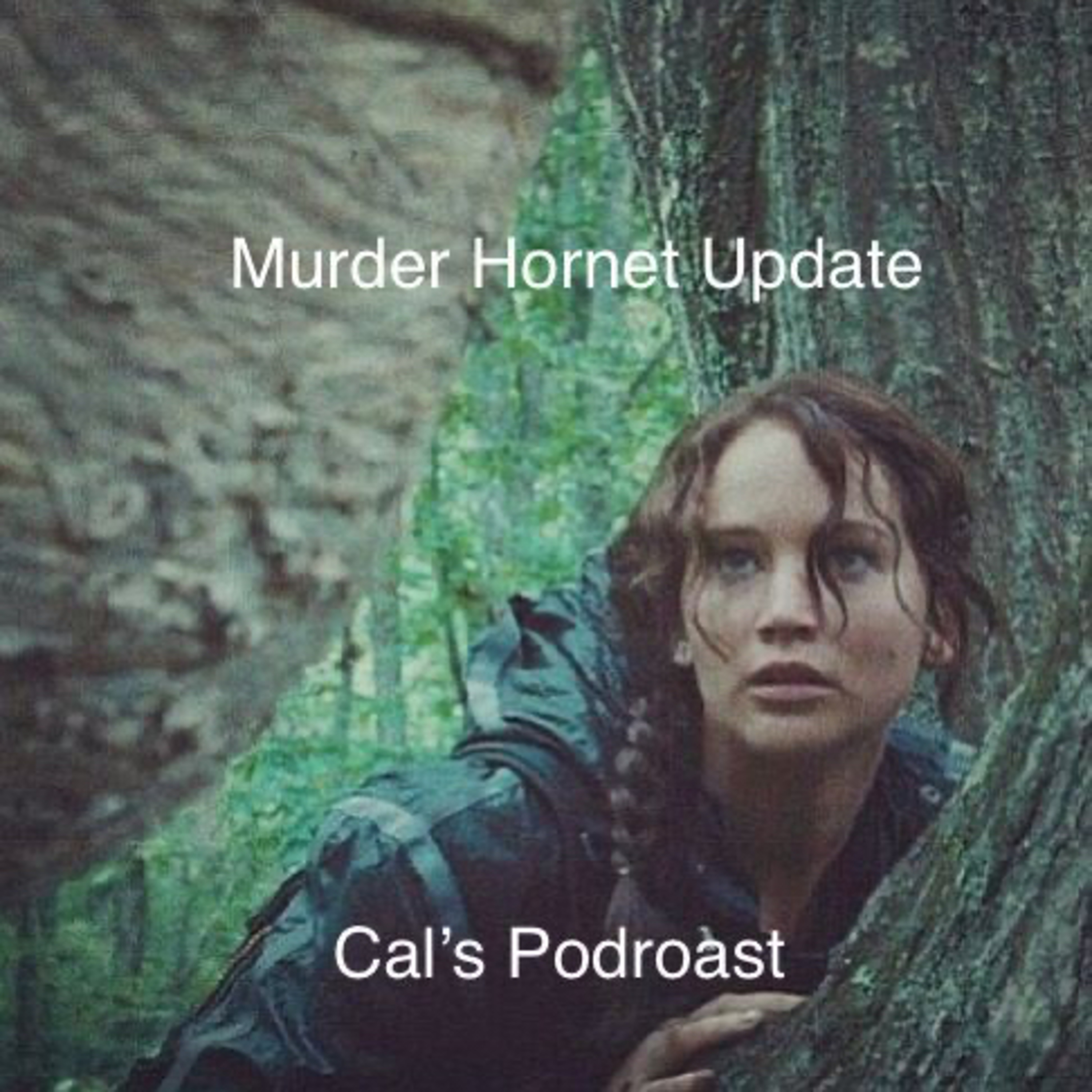Murder Hornet Update 🐝  episode artwork