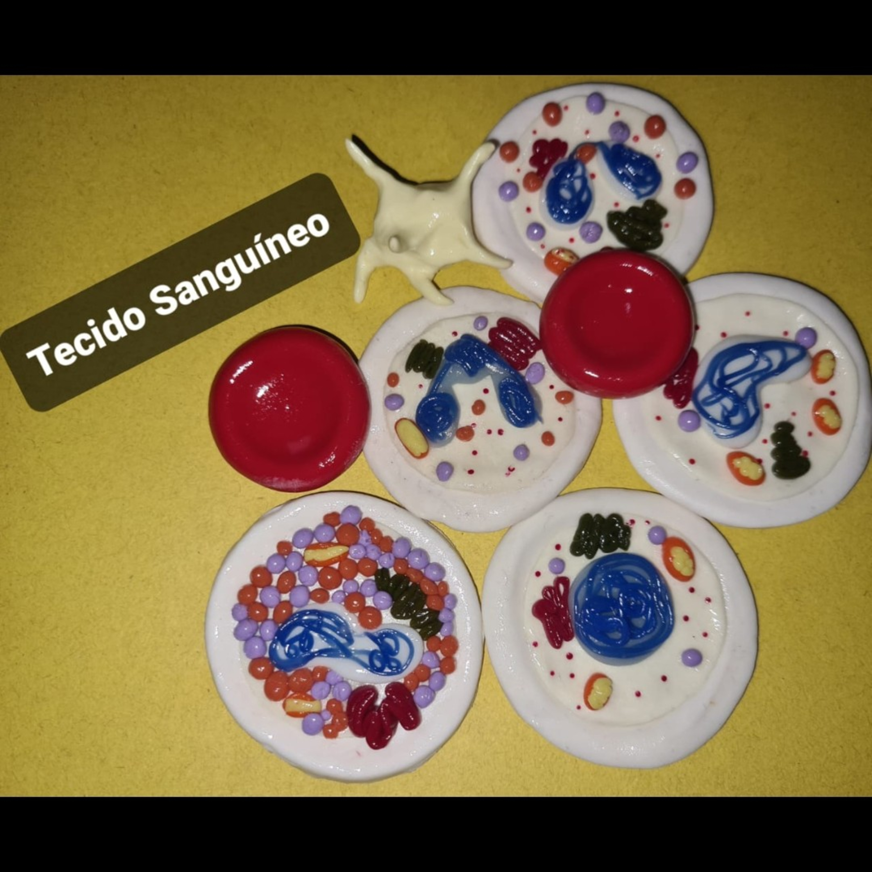Tecido Sanguíneo. 
