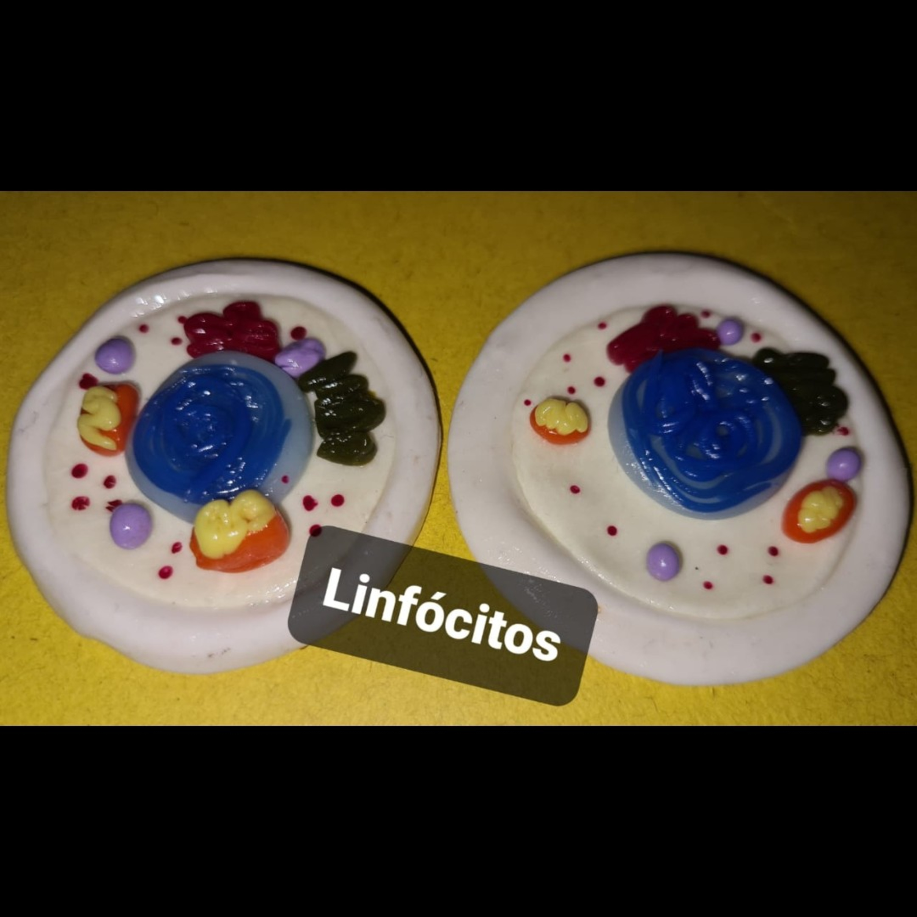 Linfócitos.