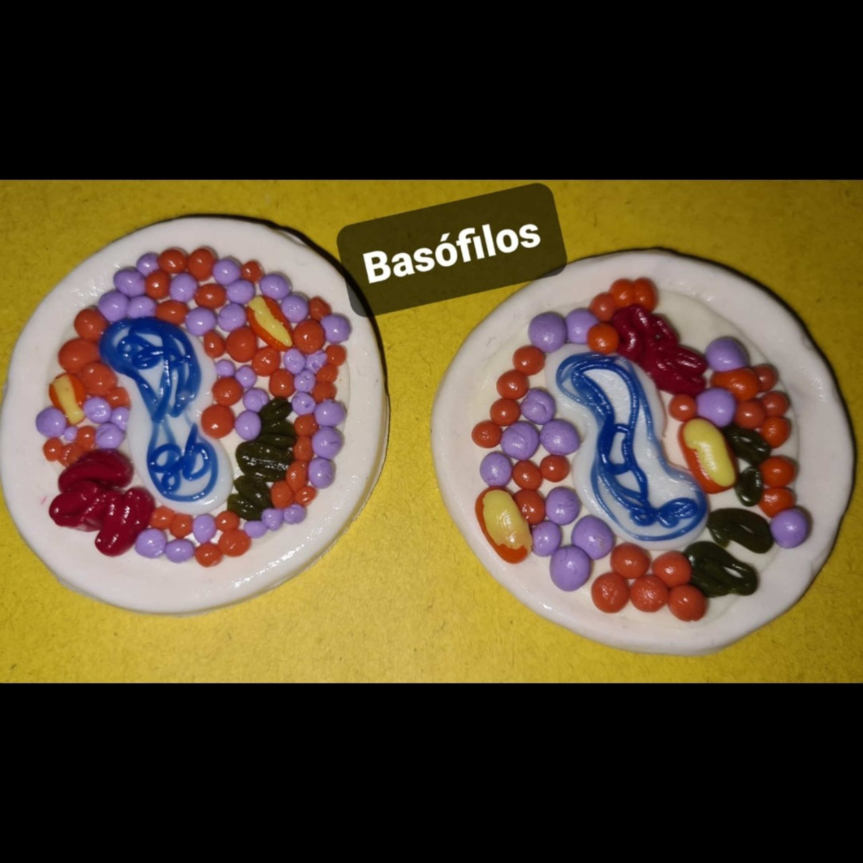 Basófilos.