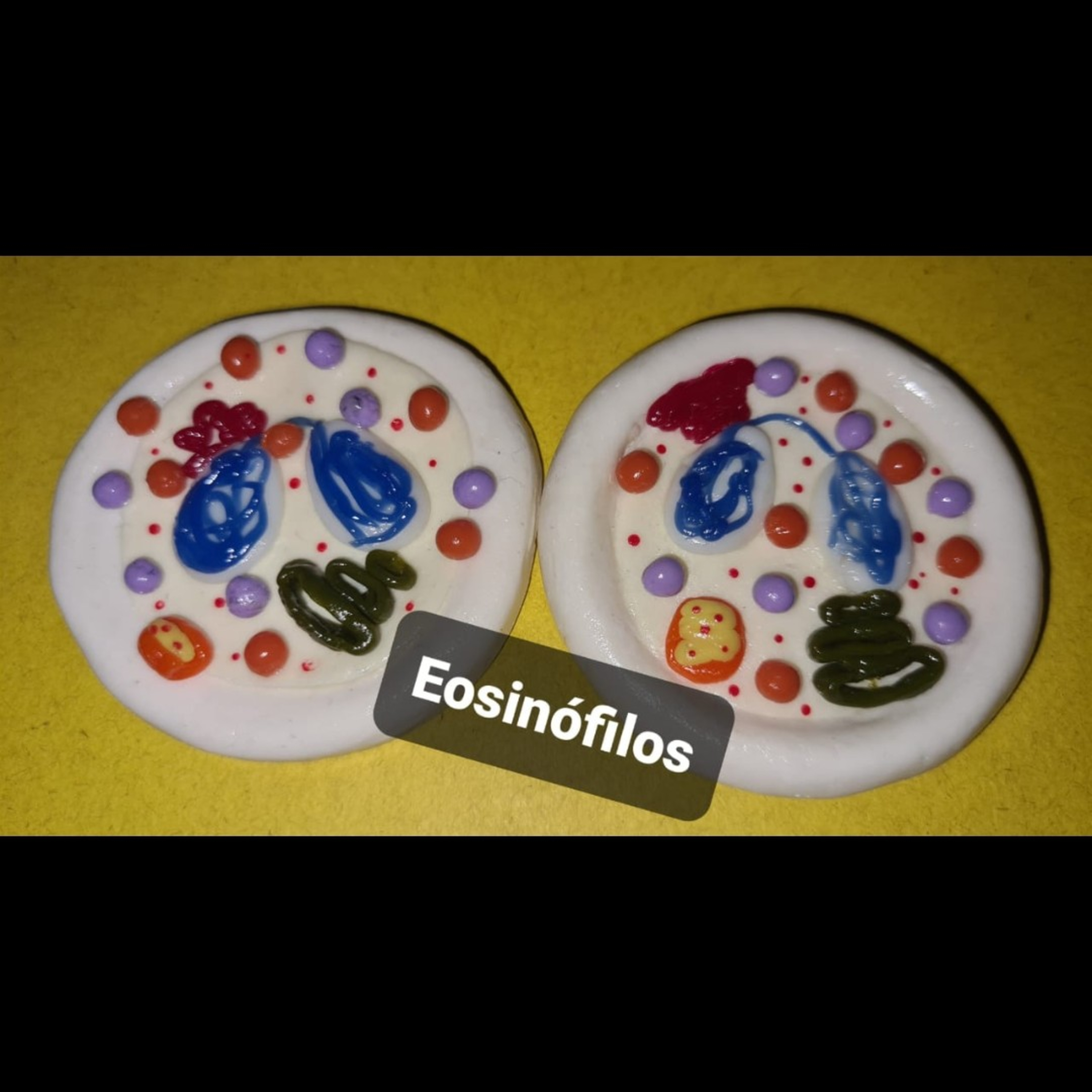 Eosinófilos.