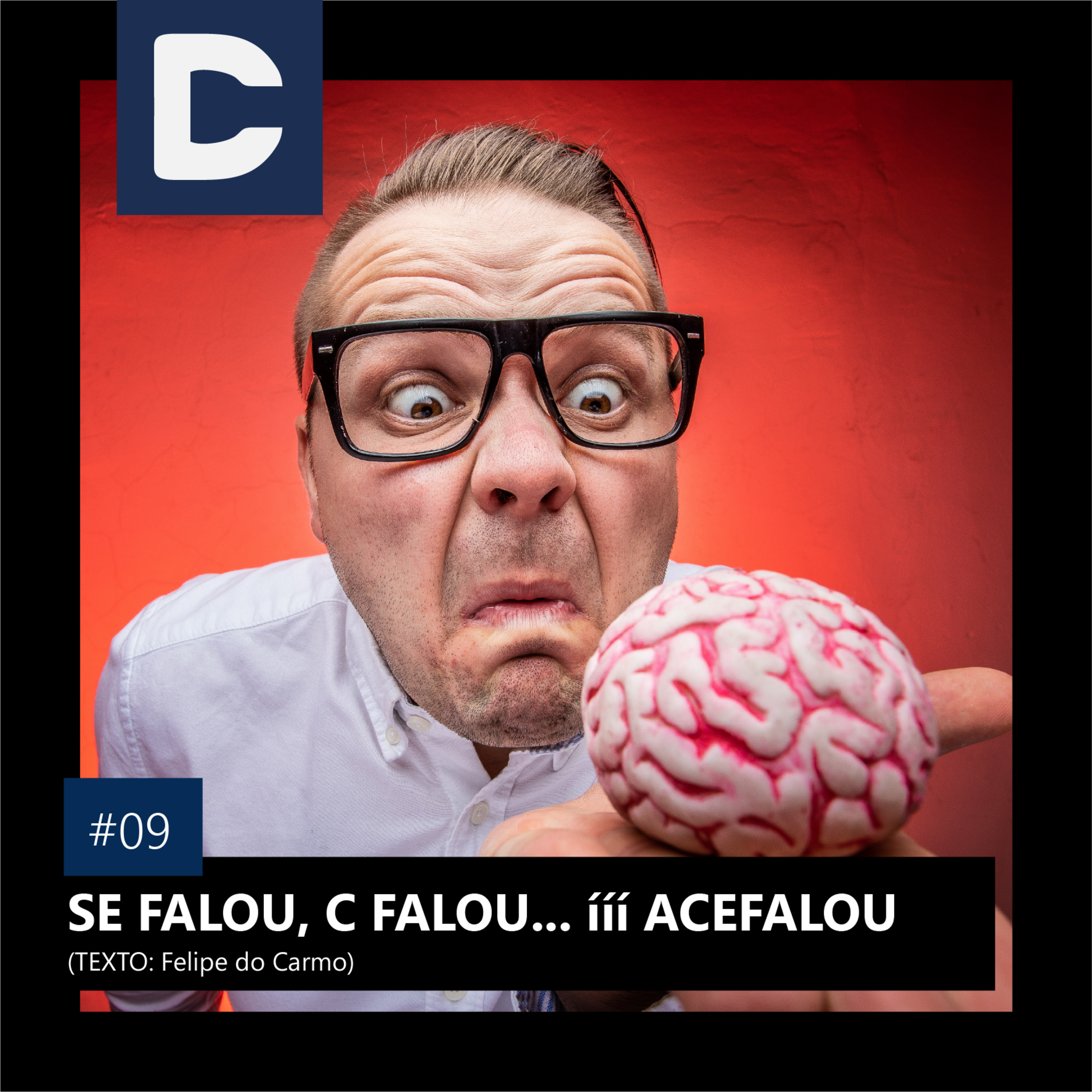 INSAIOS DE UM INGNORANTE