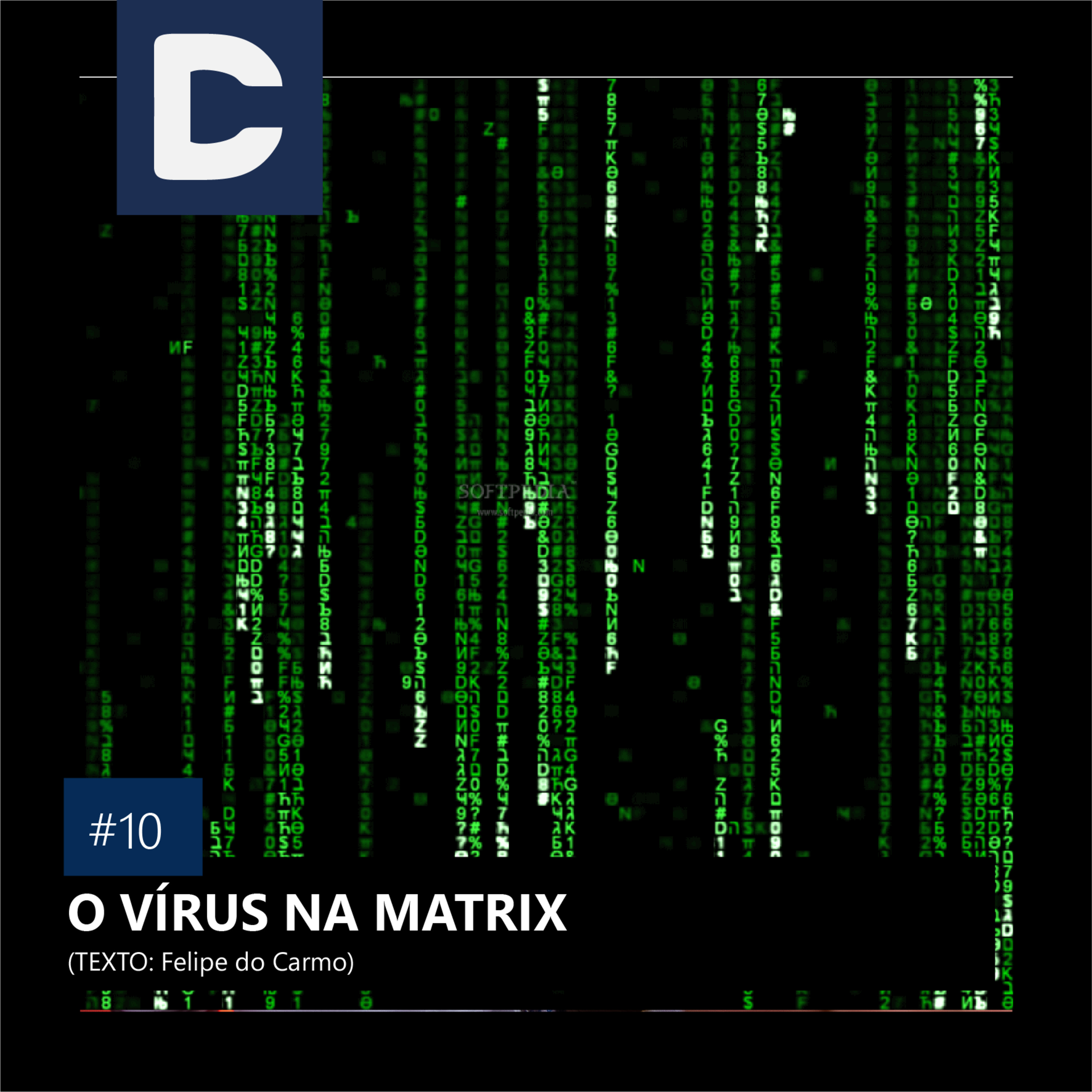 INSAIOS DE UM INGNORANTE