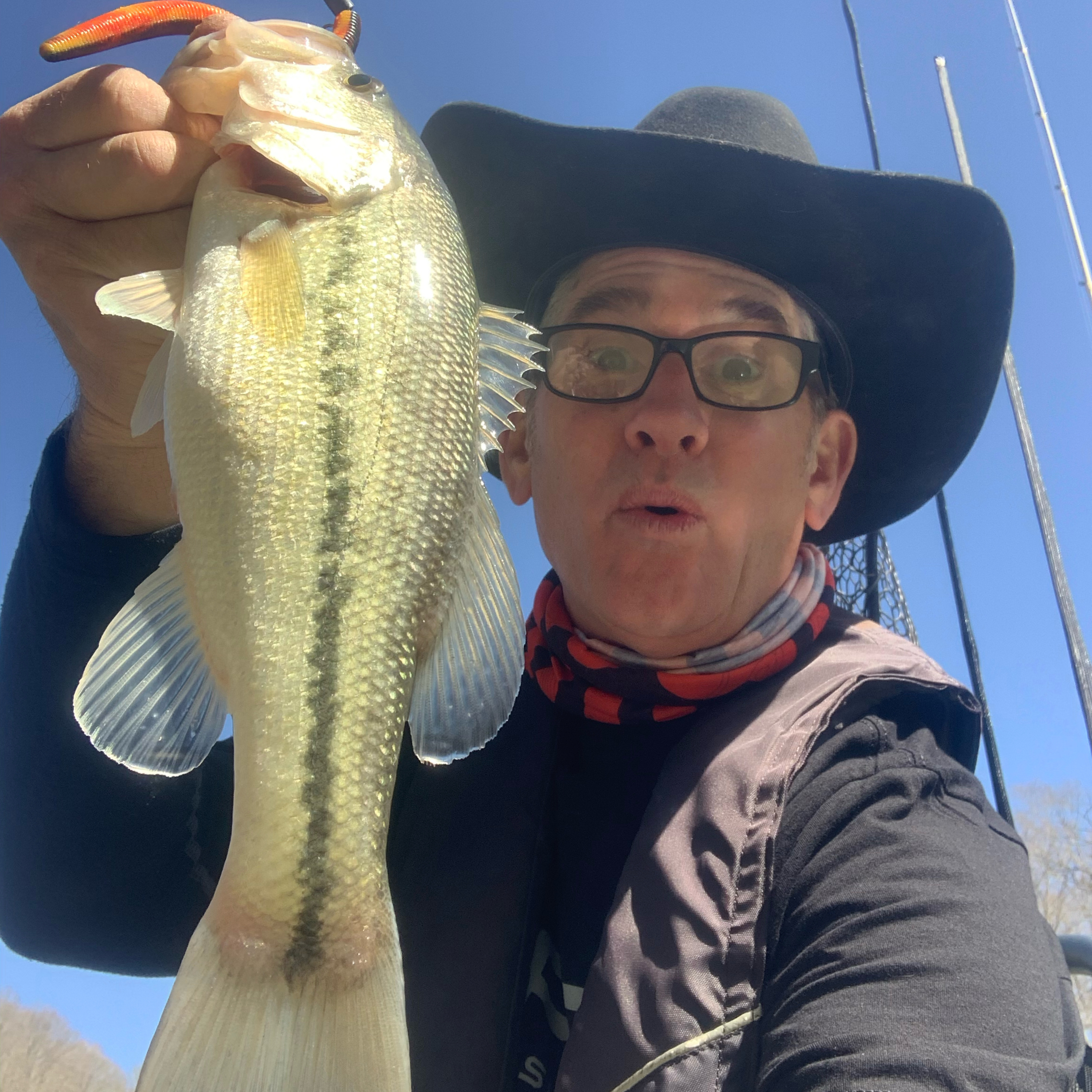 Texas rigs Bad HOA decisions Tungsten vs Lead and huge turtles  episode artwork