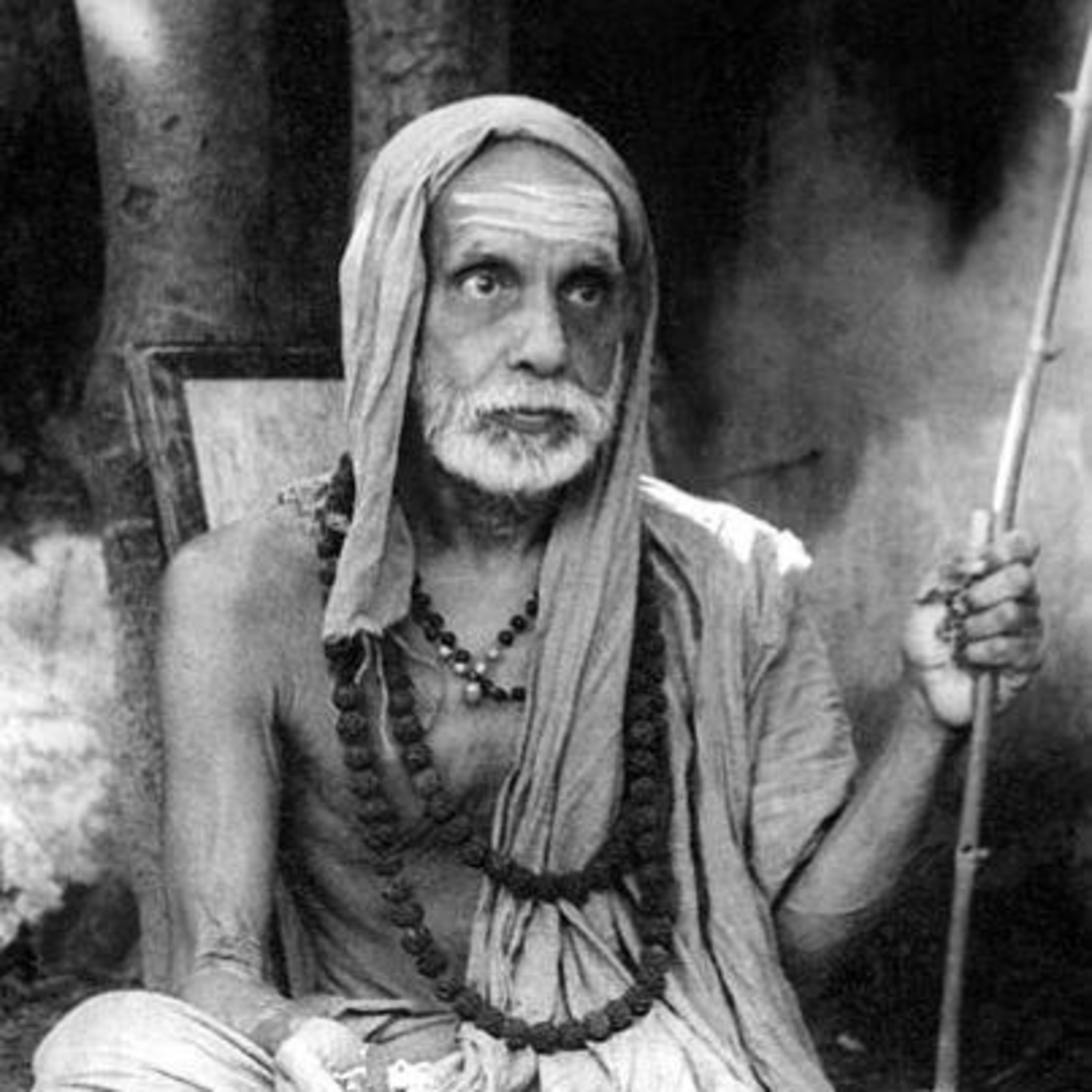sanAtanI