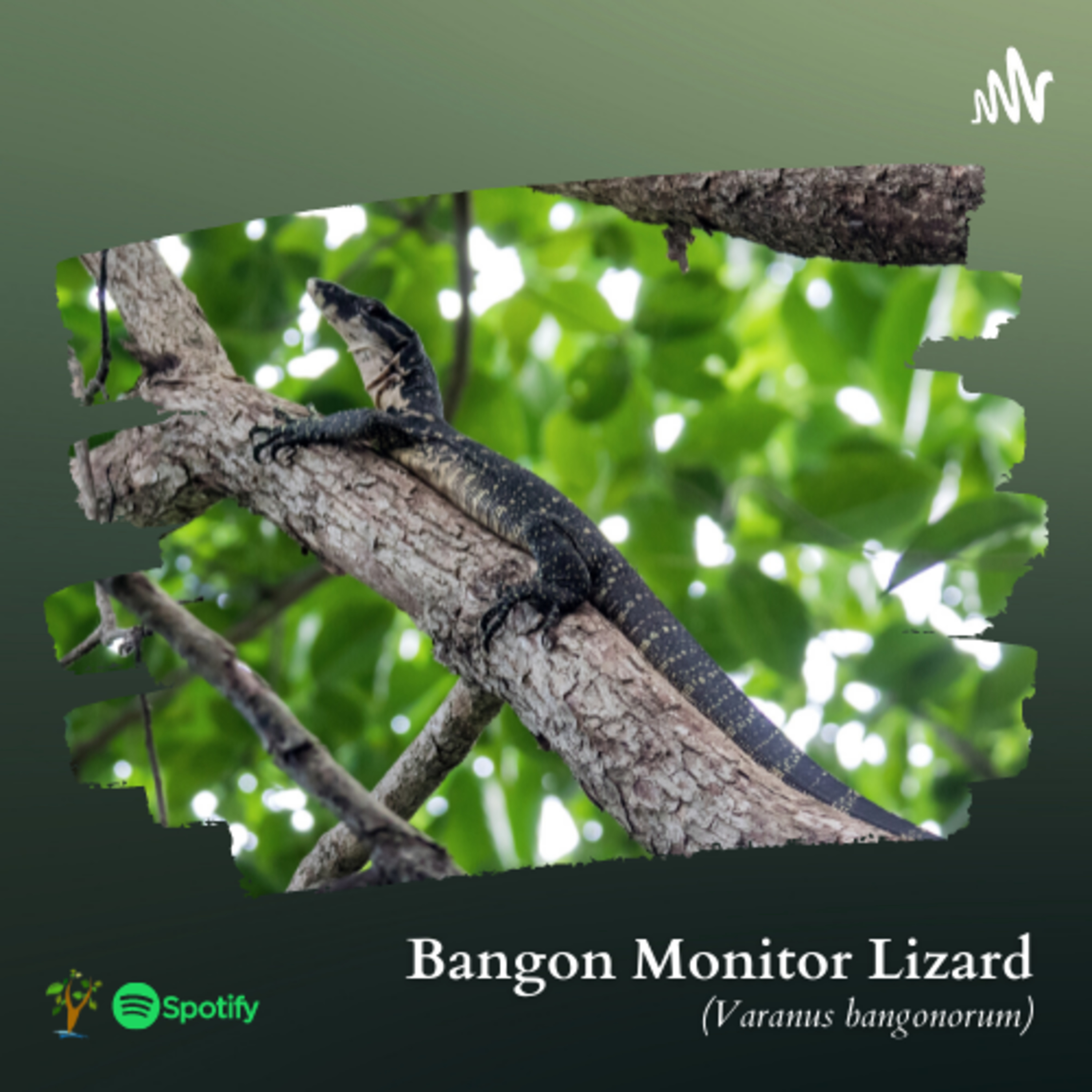 Mindoro Biodiversity Podcast