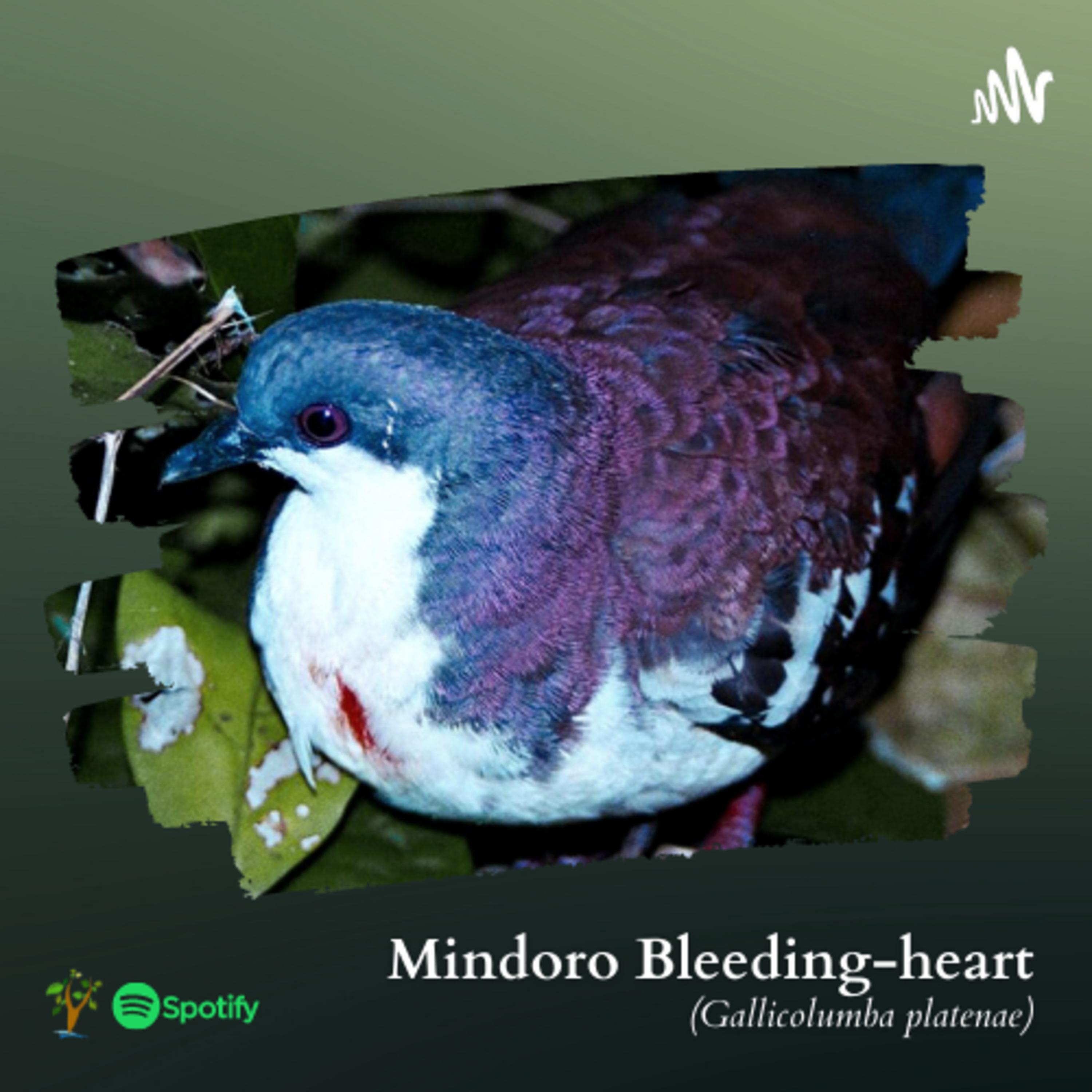 Mindoro Biodiversity Podcast