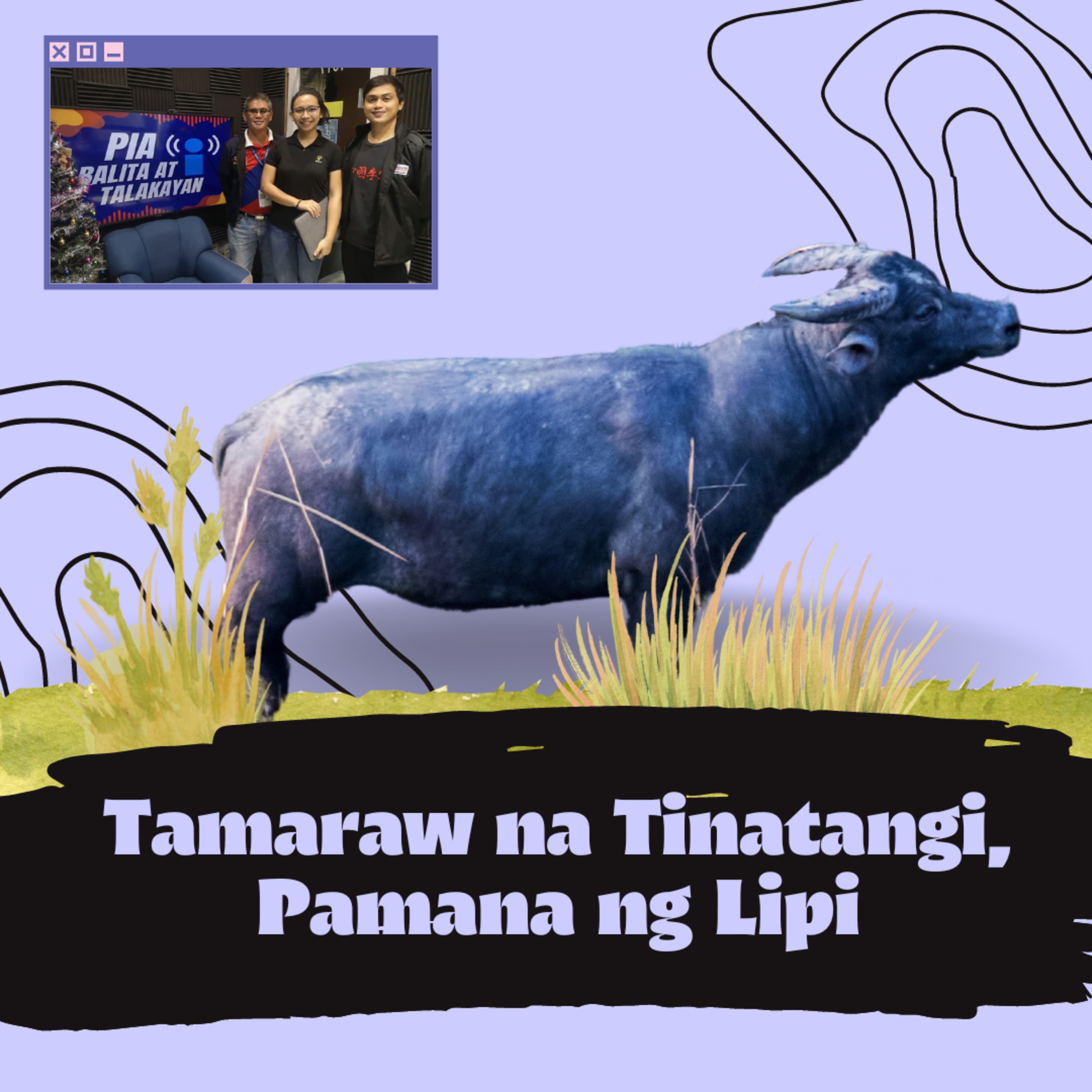 Mindoro Biodiversity Podcast