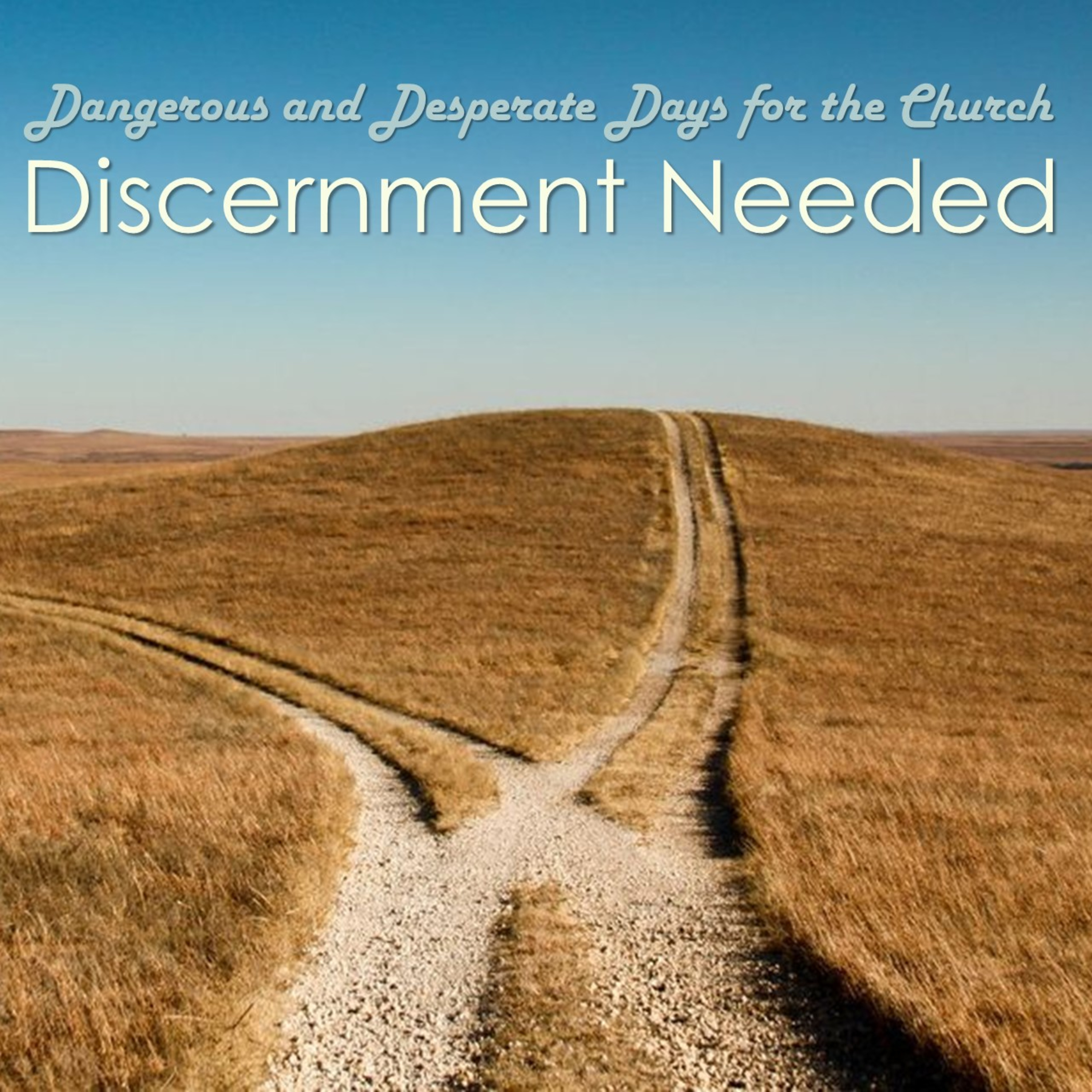 Discernment Needed: Gender Identity [Part 2] episode artwork