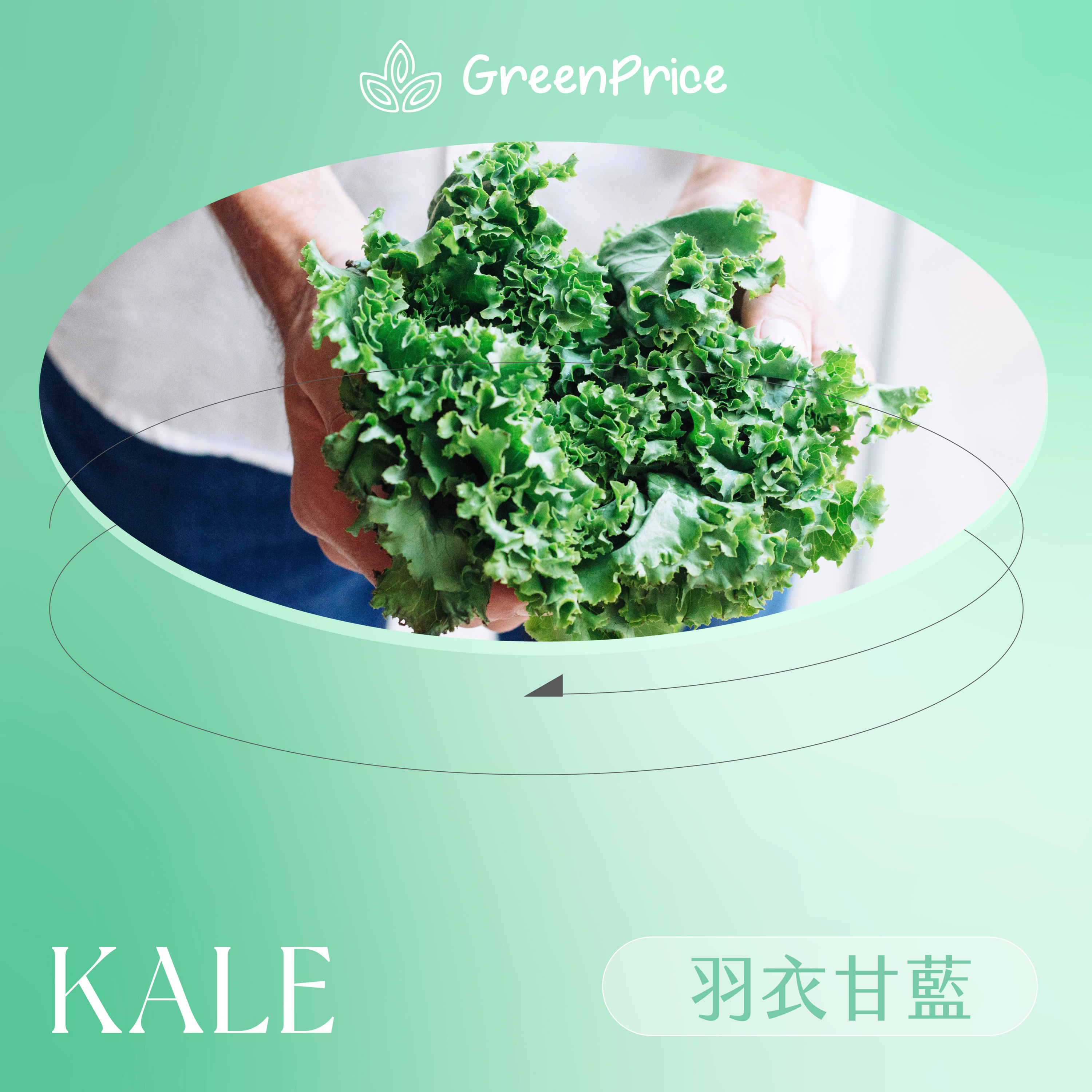饗導 Grocery Insider