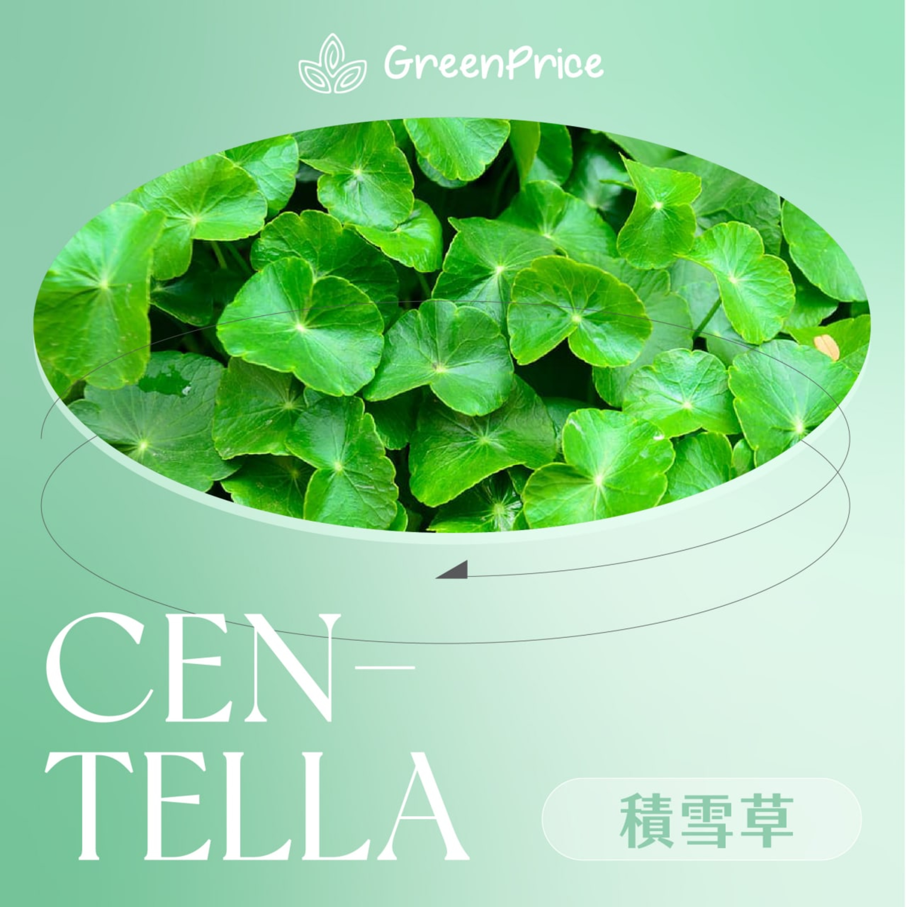 饗導 Grocery Insider