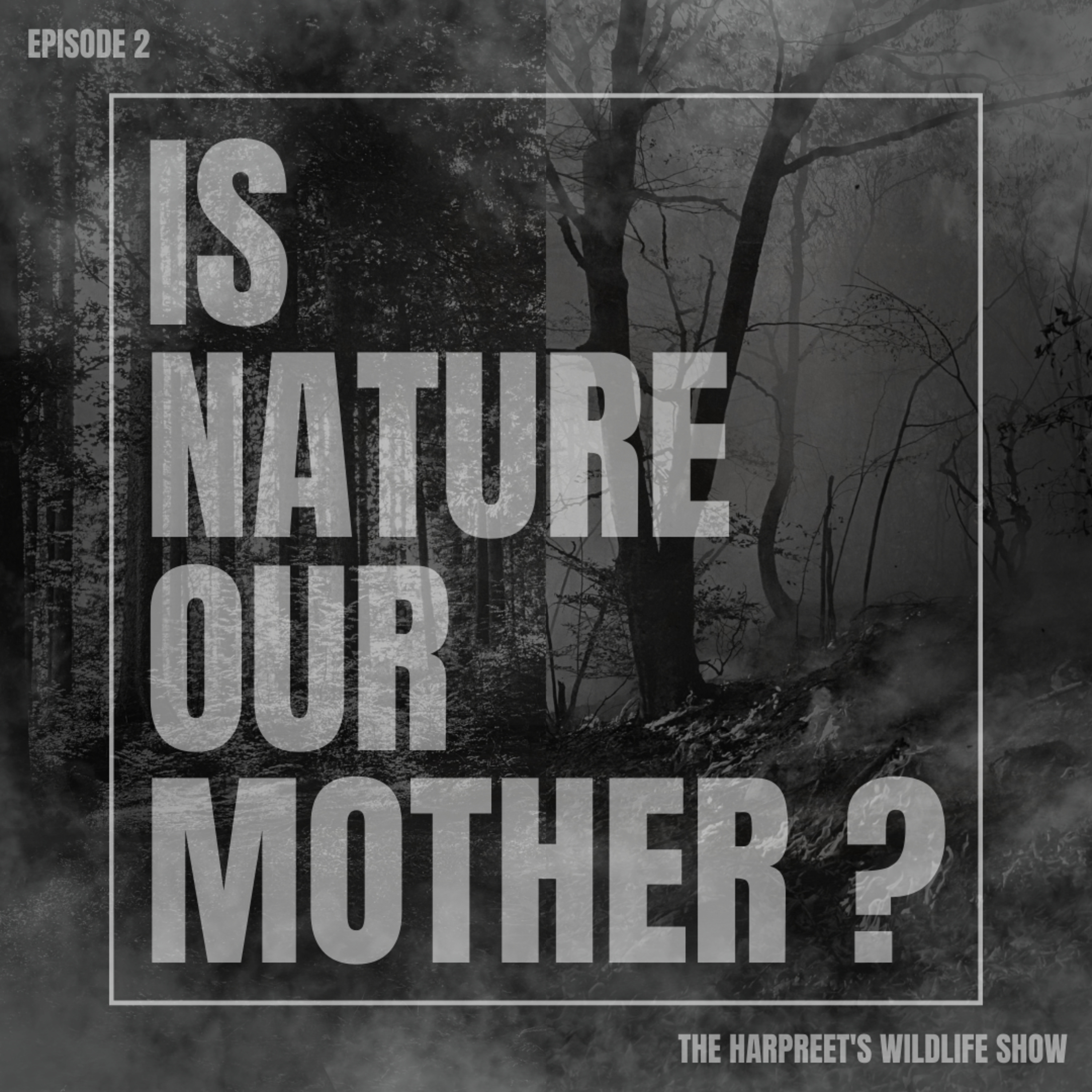 #2- Is Nature Our Mother? ft. Gerry Martin 