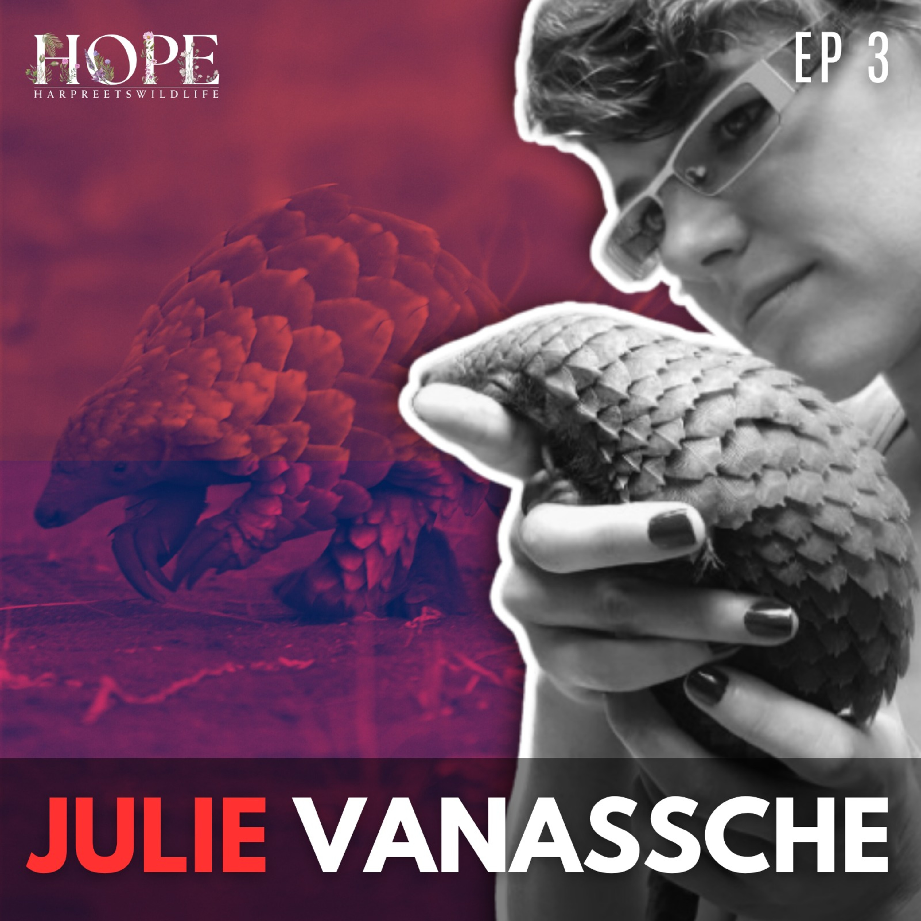 Is it the End? - The Most Trafficked Animal - Pangolin ft. Julie Vanassche - Hope Ep. 3