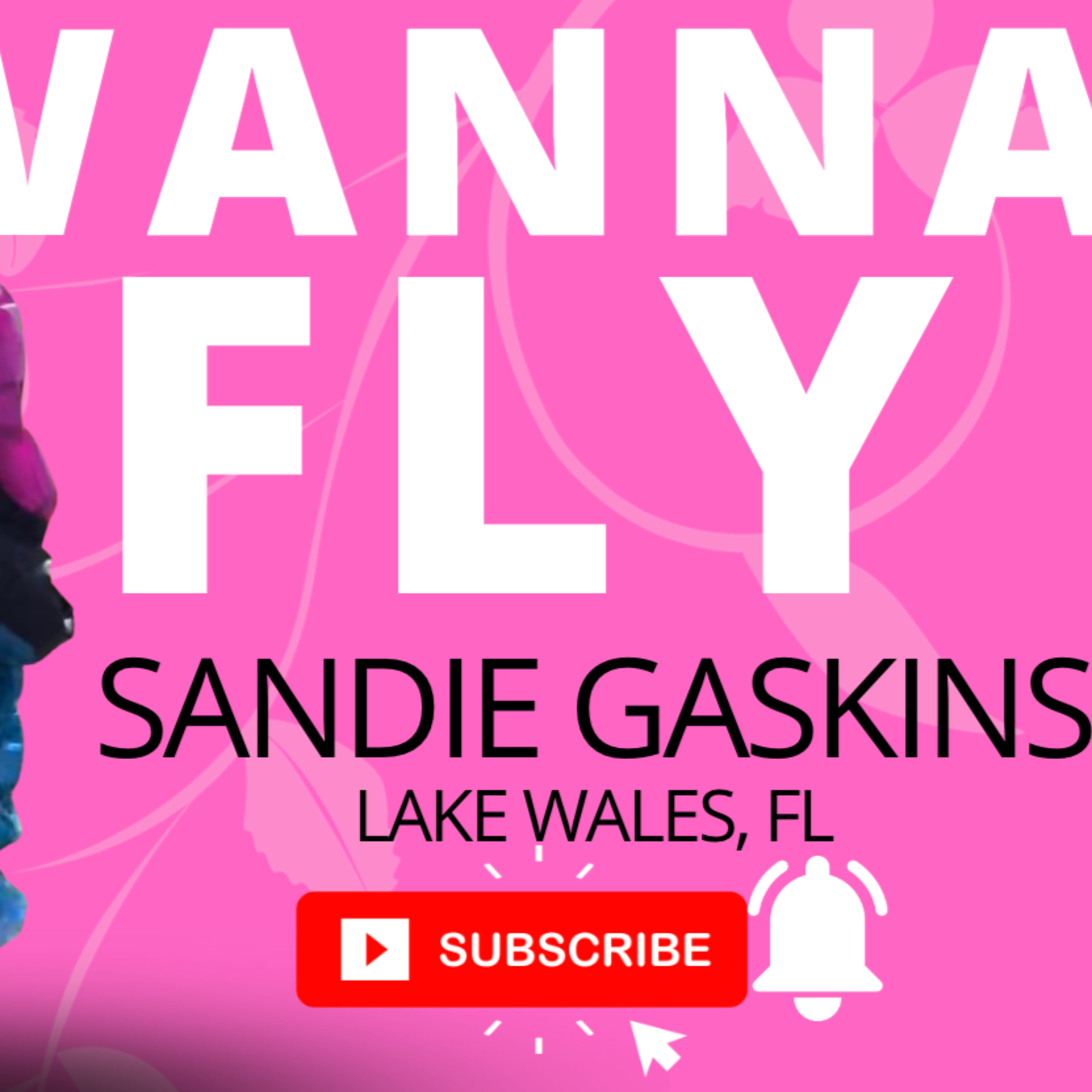 JUST WANNA FLY #66 SANDIE GASKINS - PPG Pilot and Aviator Paramotor Employee episode artwork