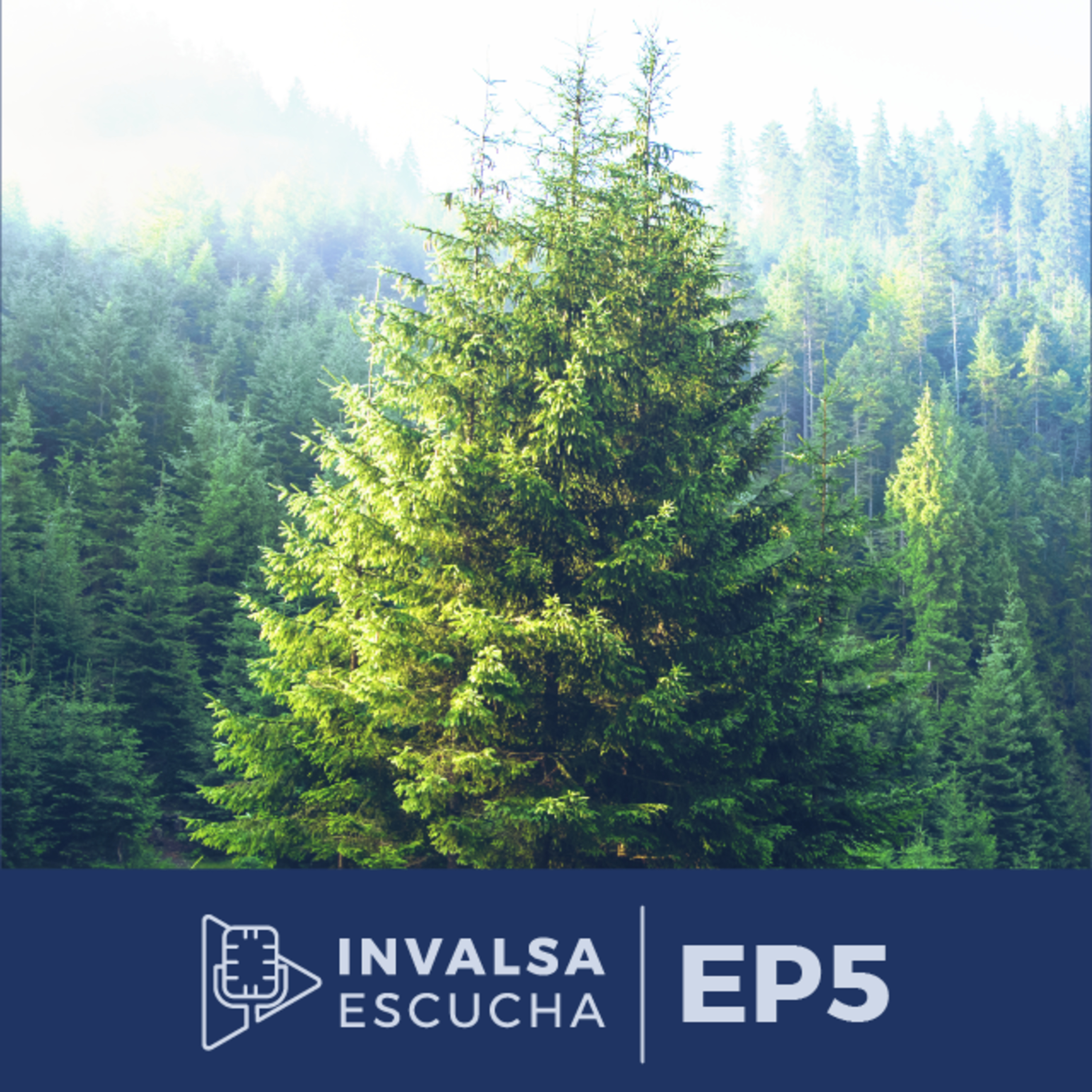 INVALSA ESCUCHA