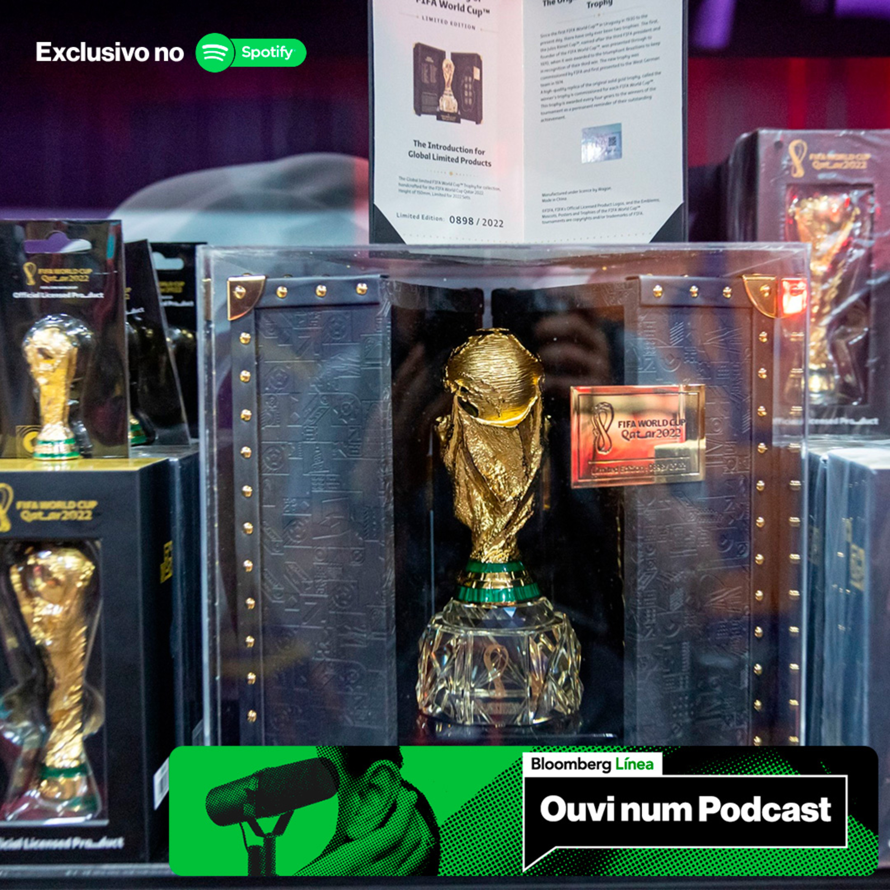Técnico da Espanha não sabia que time estava sendo eliminado episode artwork
