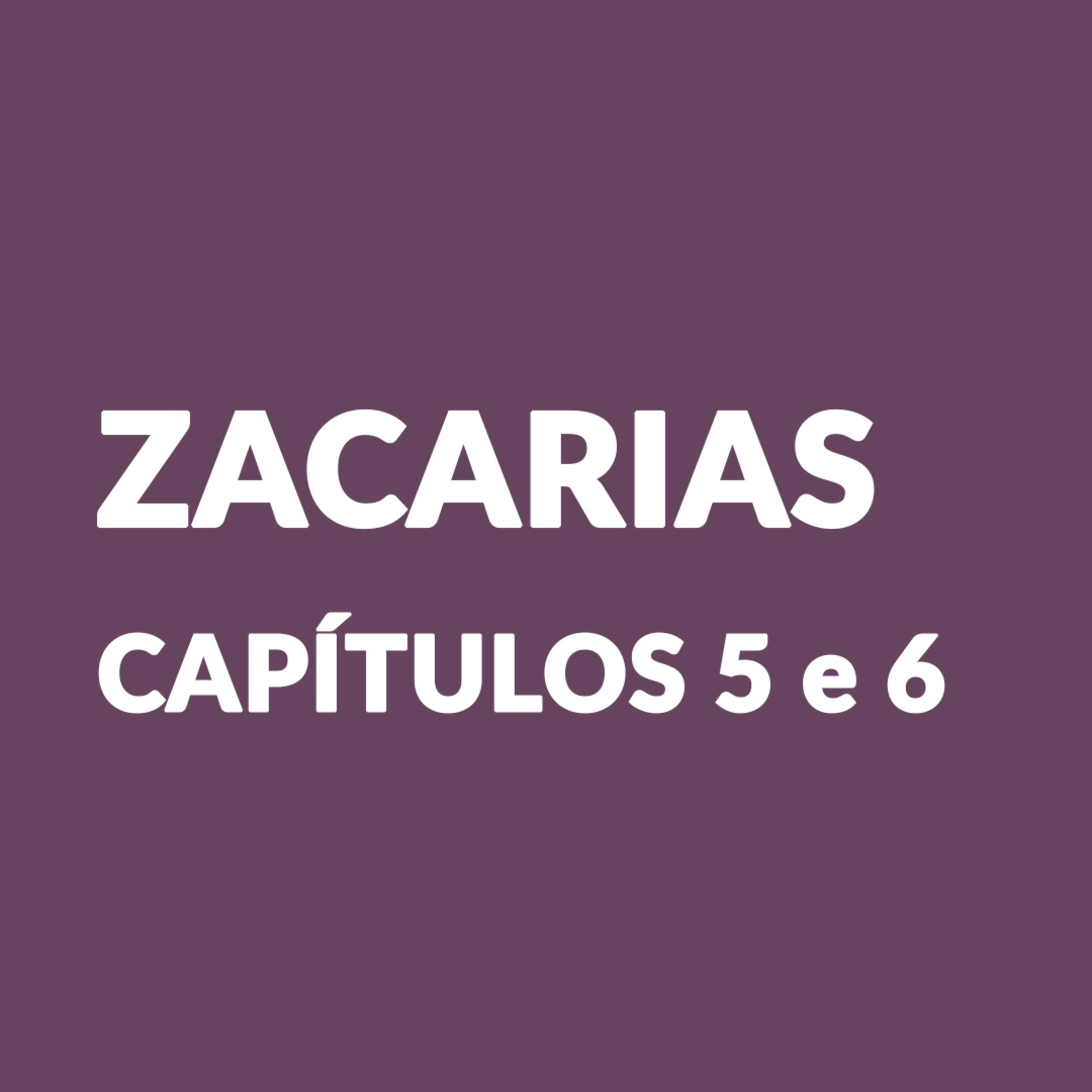 Episódio 57 - Zacarias 5 e 6 episode artwork