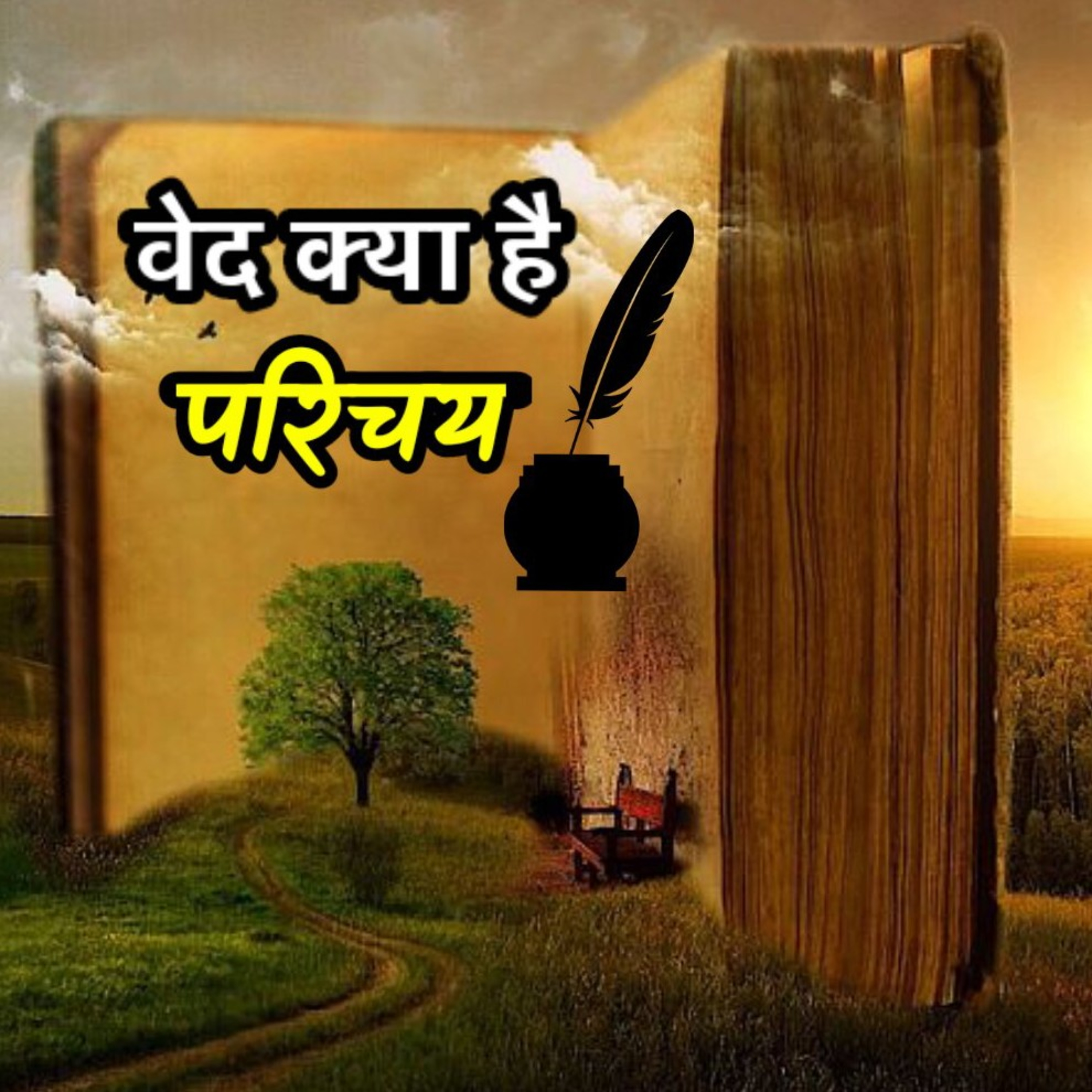 Hashtag Ziddi
