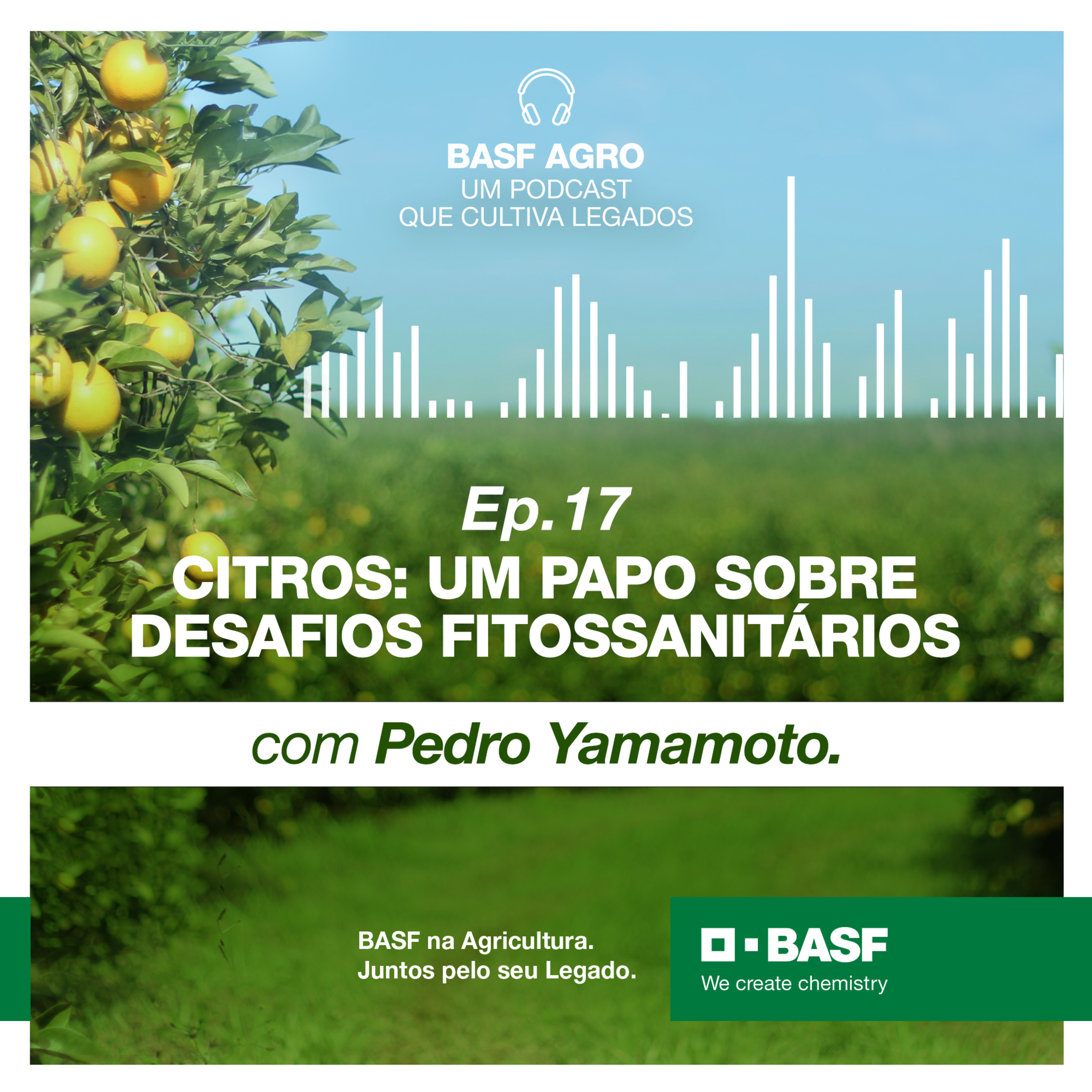 Ep. 17 - Citros: um papo sobre desafios fitossanitários, com Pedro Yamamoto episode artwork