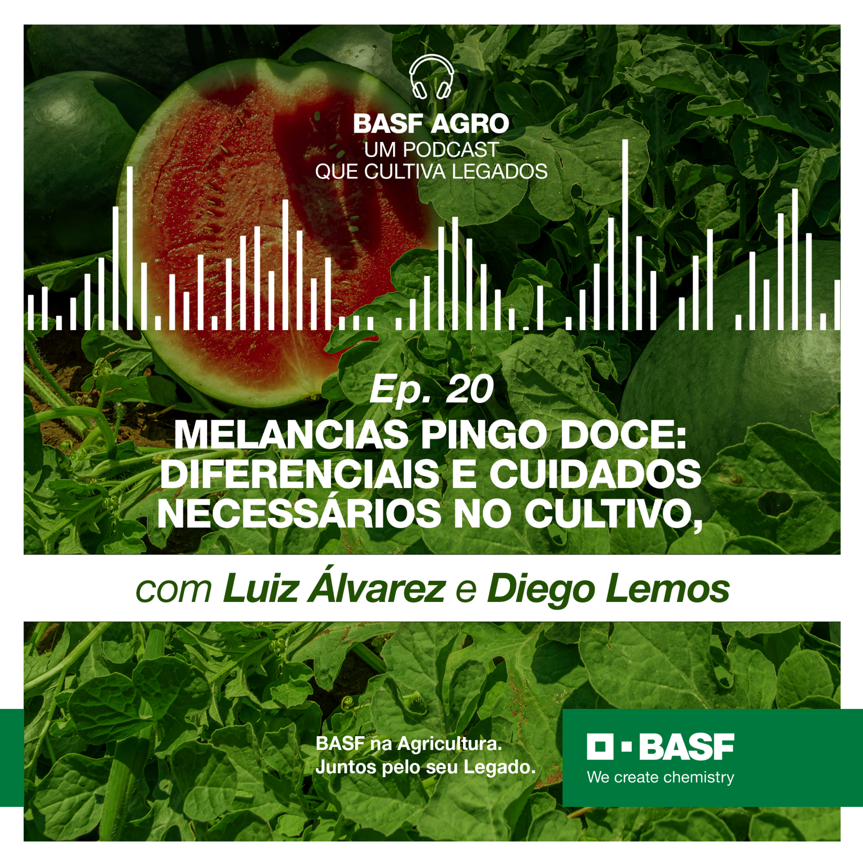 Ep. 20 - Melancias Pingo Doce: diferenciais e cuidados necessários no cultivo, com Luiz Álvarez e Diego Lemos episode artwork