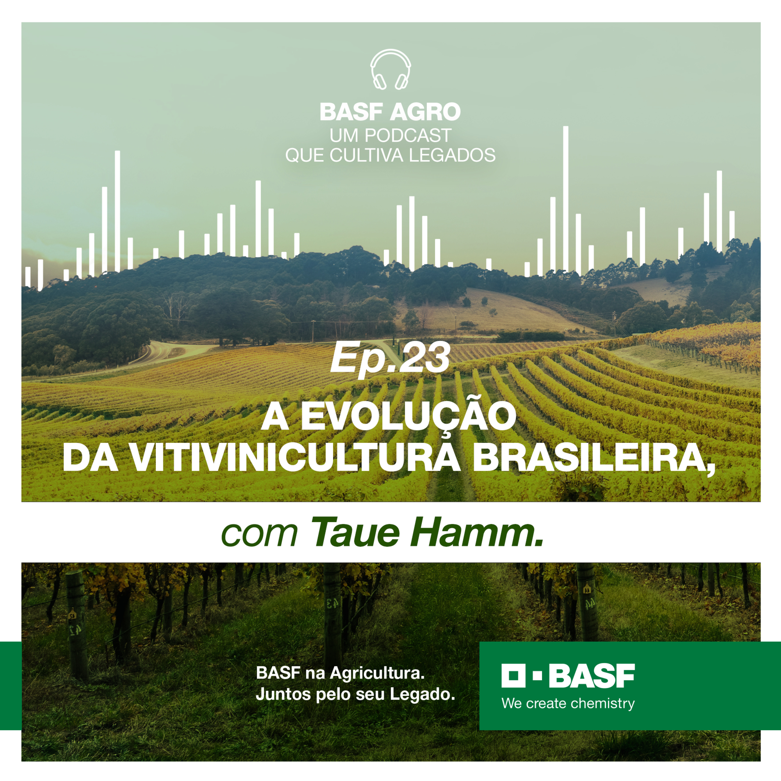 Ep. 23 - A evolução da vitivinicultura brasileira, com Taue Hamm episode artwork