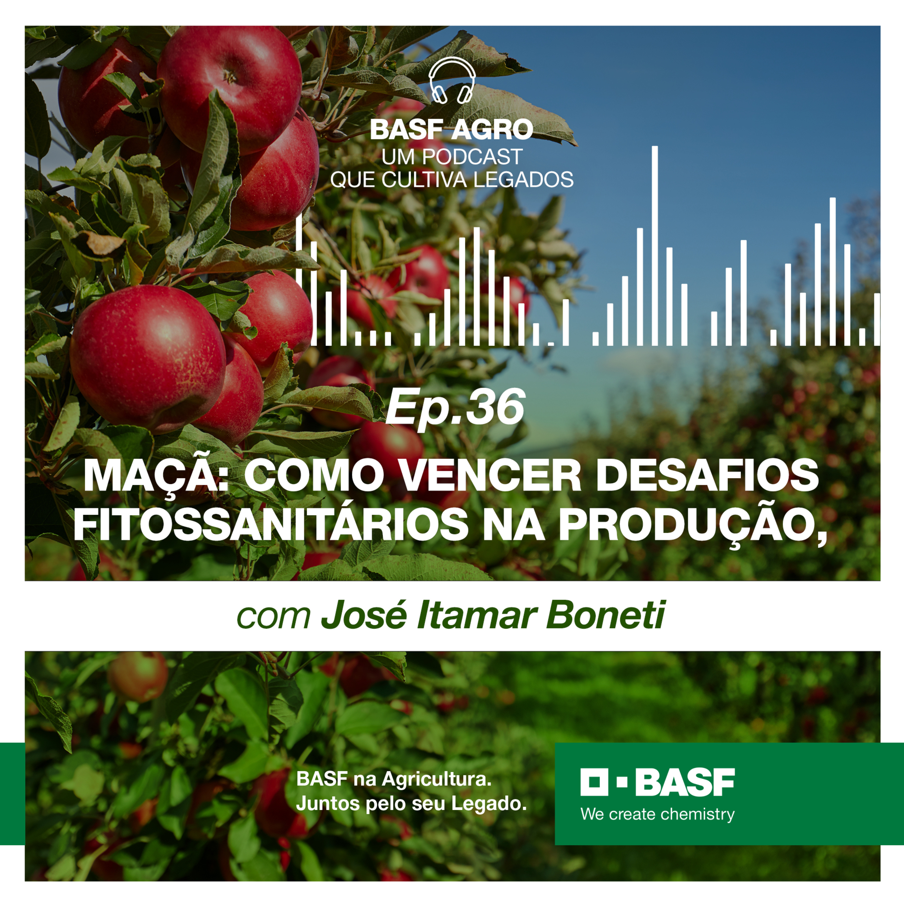 Ep. 36 - Maçã: como vencer desafios fitossanitários na produção, com José Itamar Boneti episode artwork