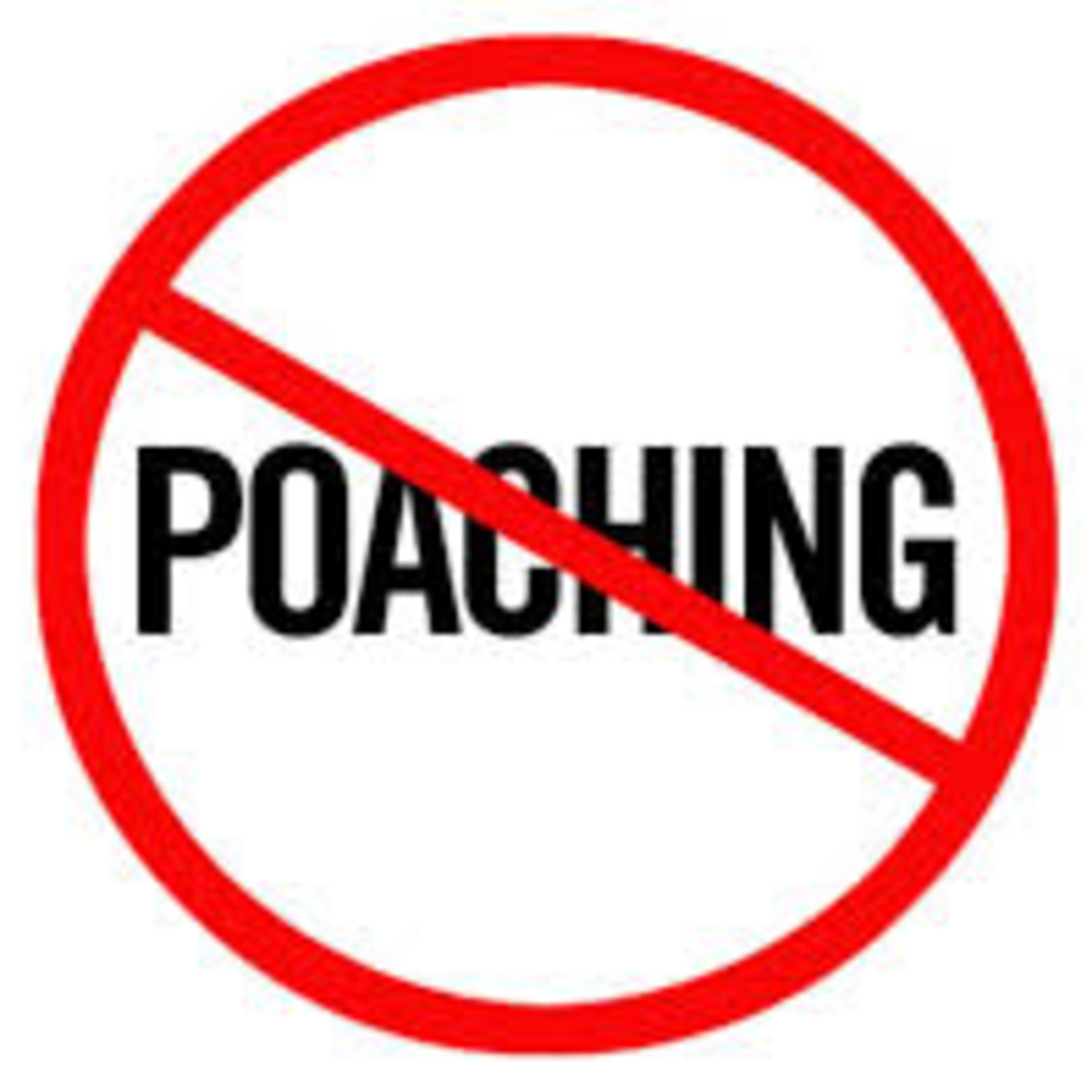 How poaching affects the environment