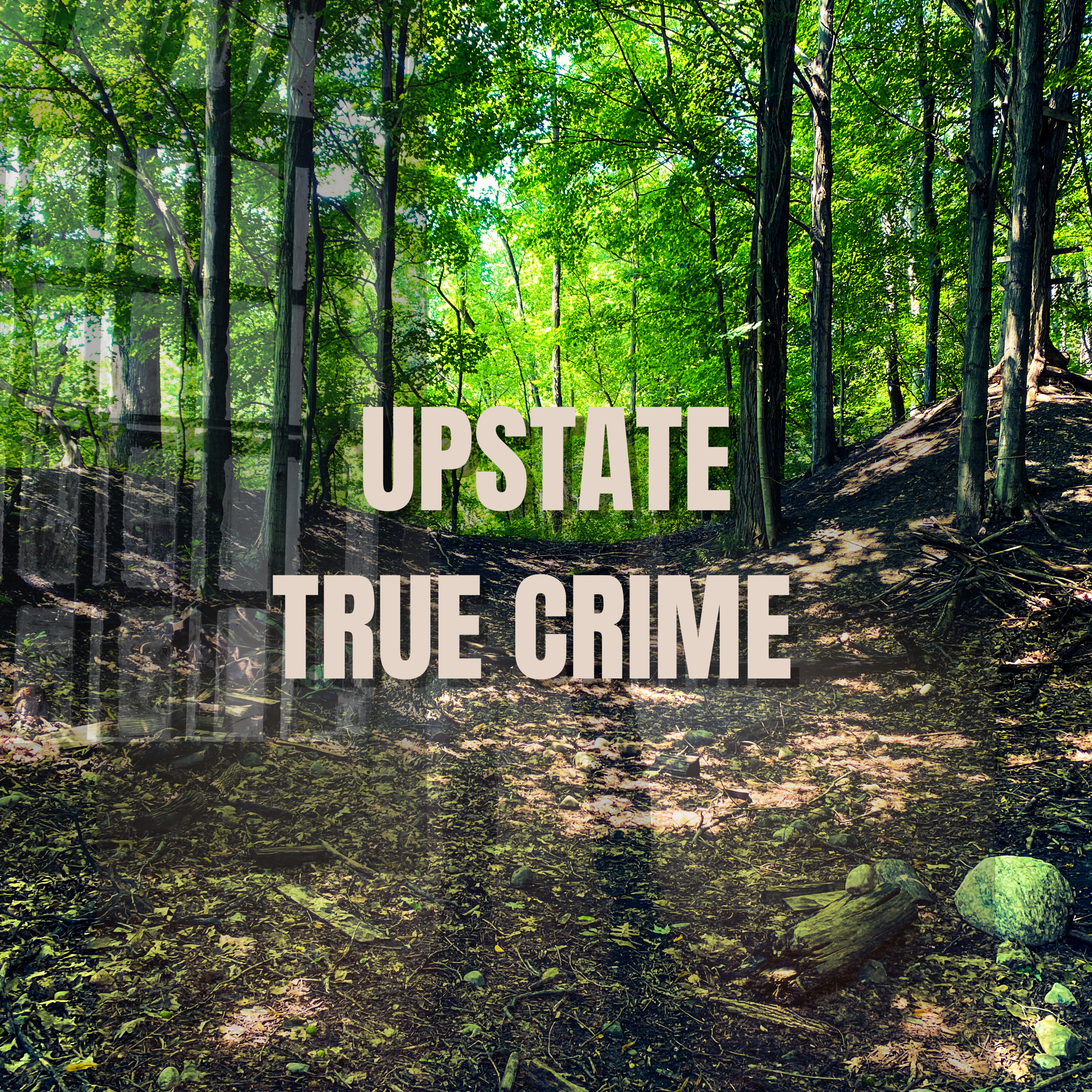 Upstate True Crime - CULTS!!! *Please read description for trigger warnings* episode artwork